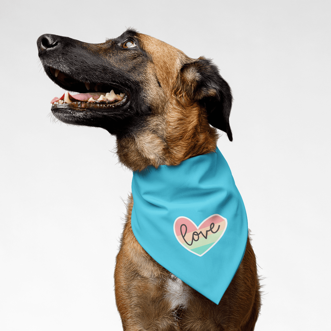 PawsIndia Pet Bandana - Love - Blue