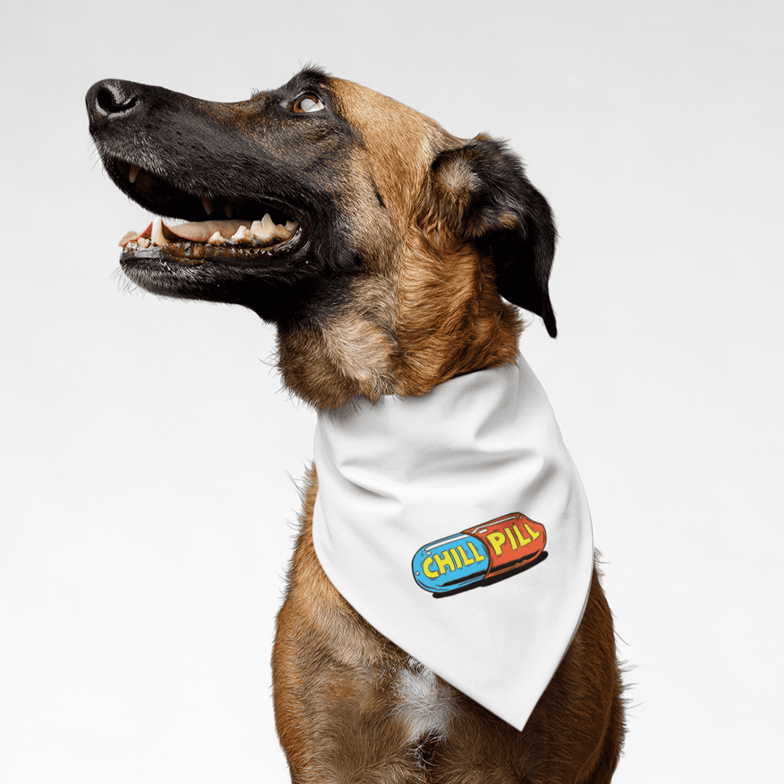 PawsIndia Pet Bandana - Chill Pill