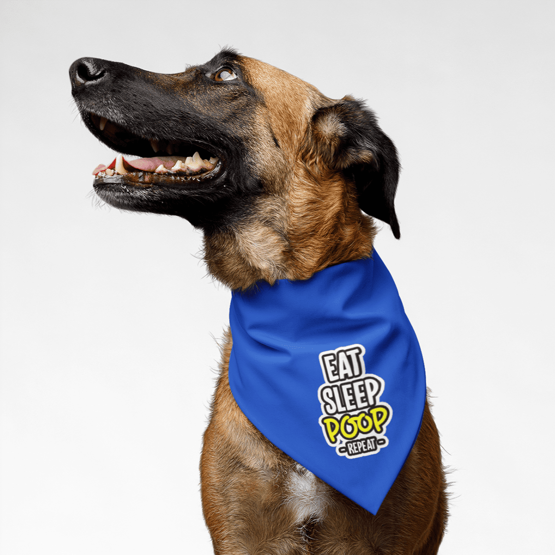 PawsIndia Pet Bandana - Eat-Sleep-Poop