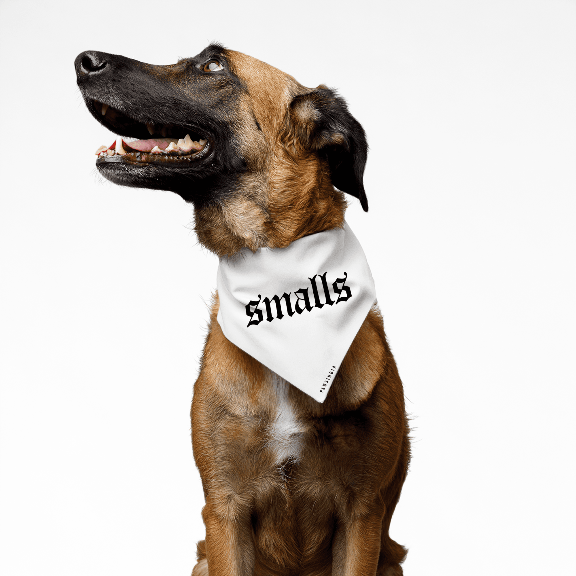 PawsIndia Pet Bandana - Smalls