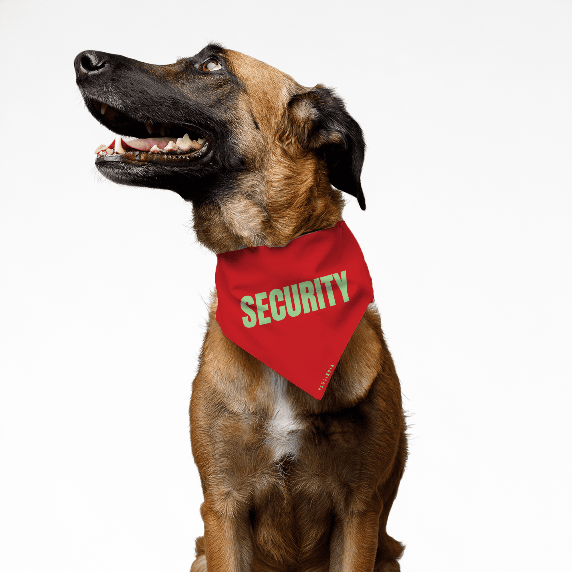 PawsIndia Pet Bandana - Security