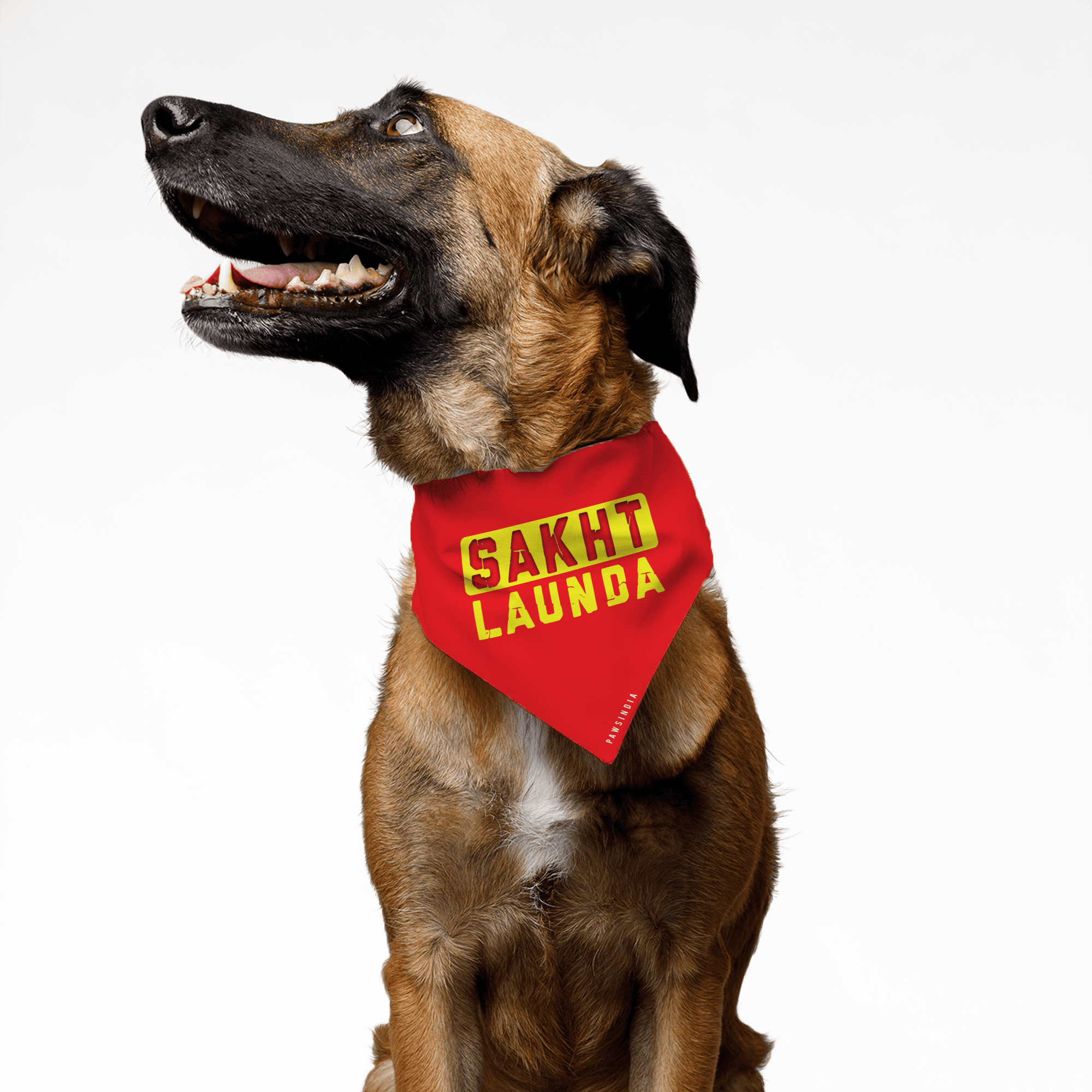 PawsIndia Pet Bandana - Sakht Launda