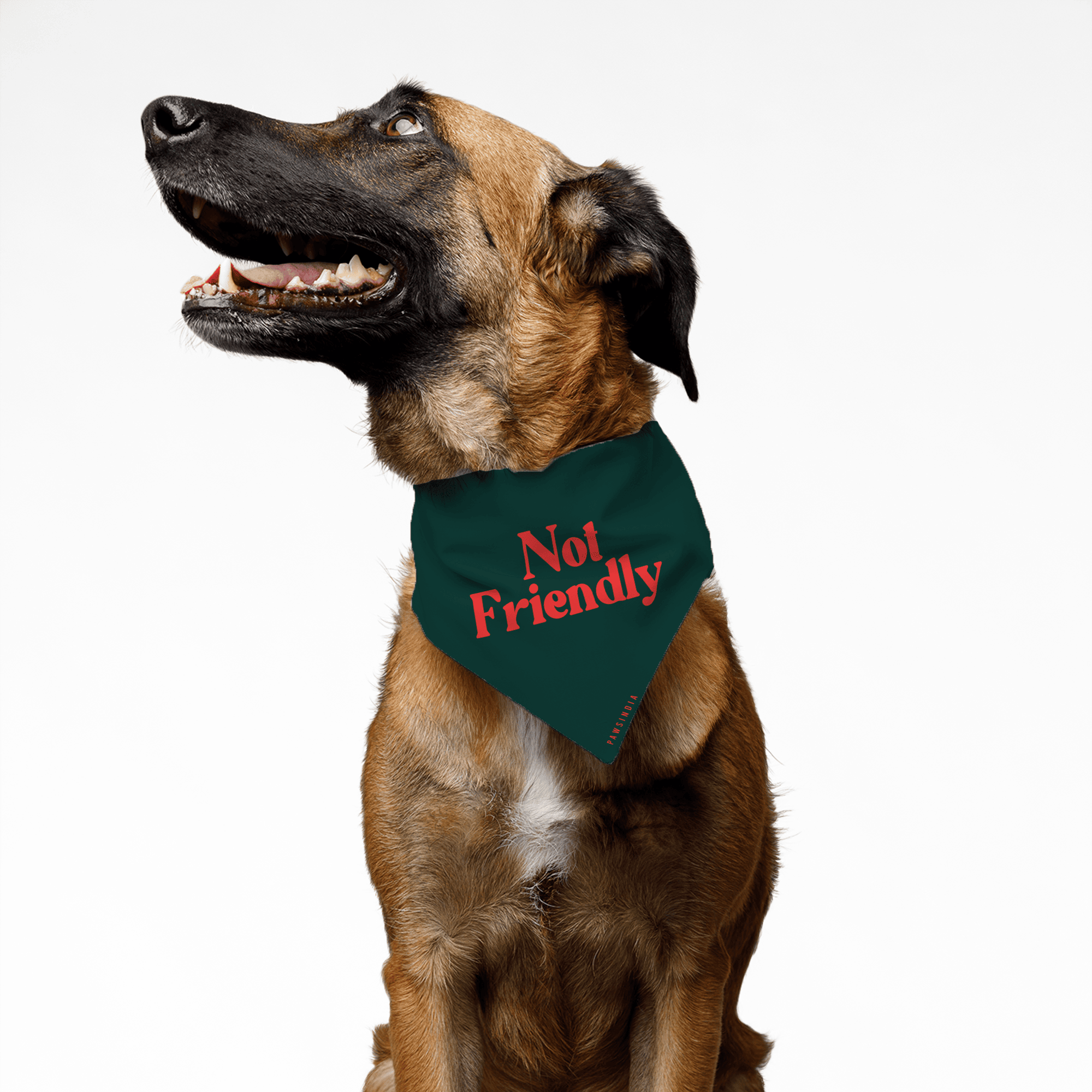 PawsIndia Pet Bandana - Not Friendly
