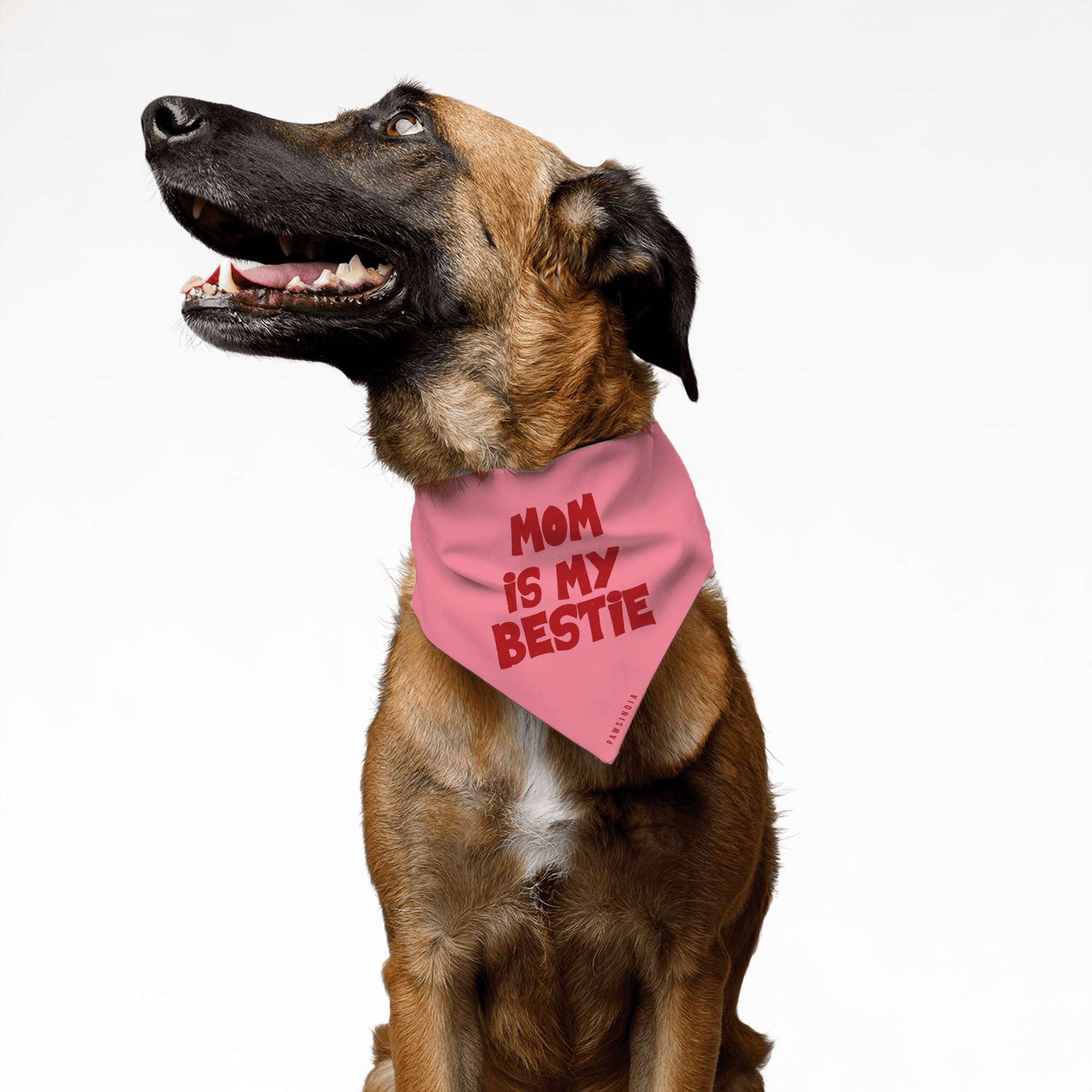 PawsIndia Pet Bandana - Mom is My Bestie