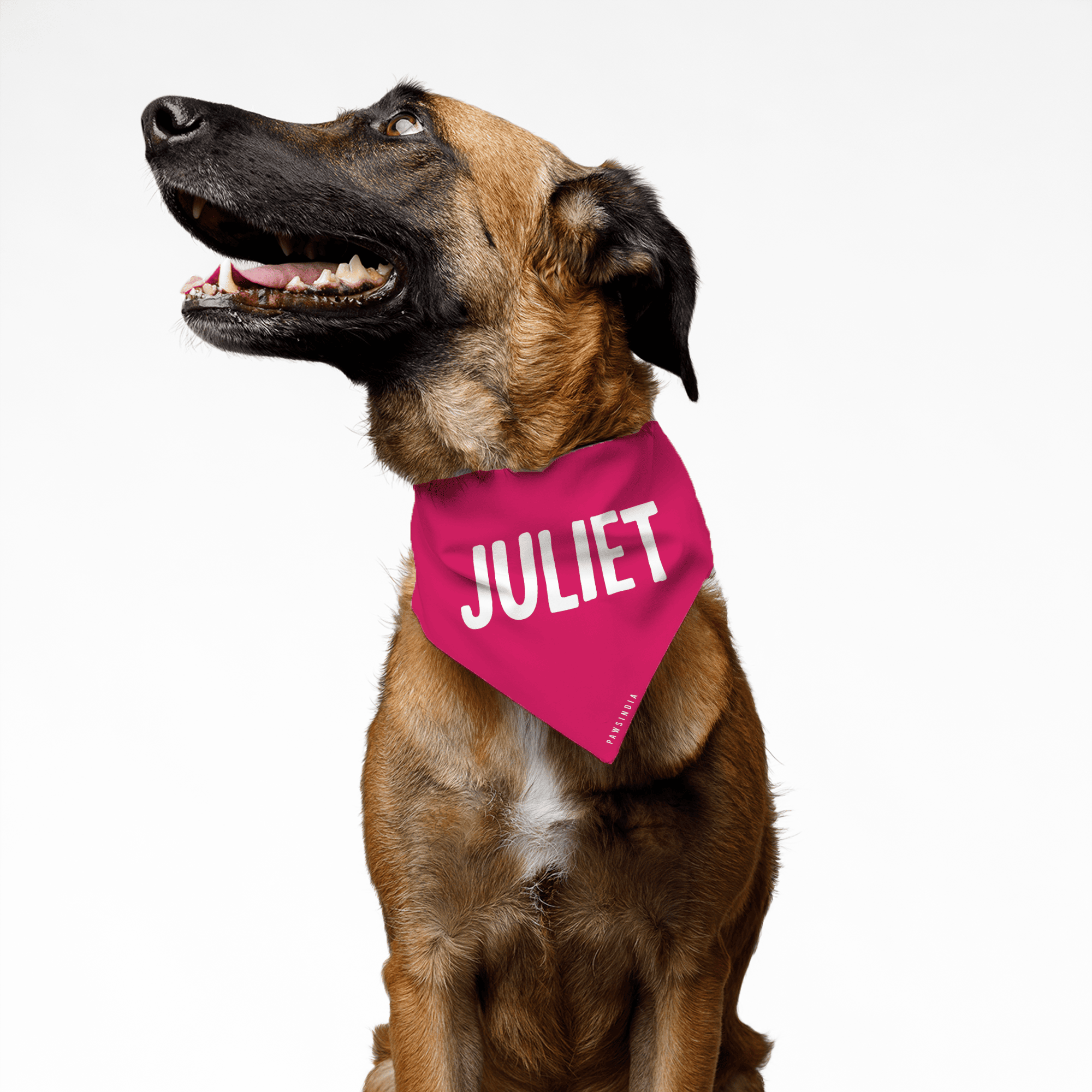 PawsIndia Pet Bandana - Juliet