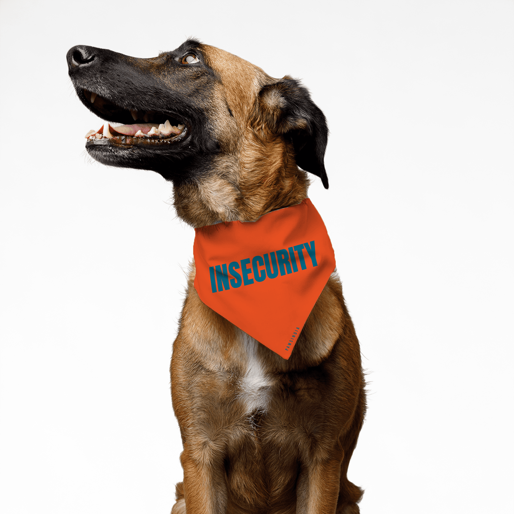 PawsIndia Pet Bandana - Insecurity