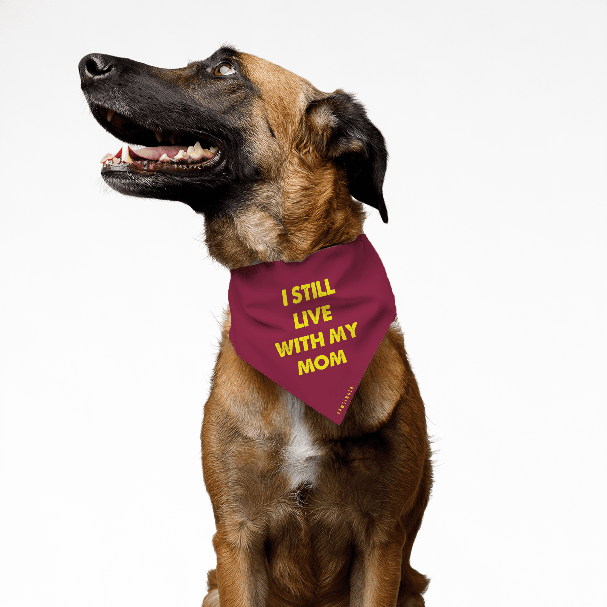 PawsIndia Pet Bandana - I Still Live With My Mom