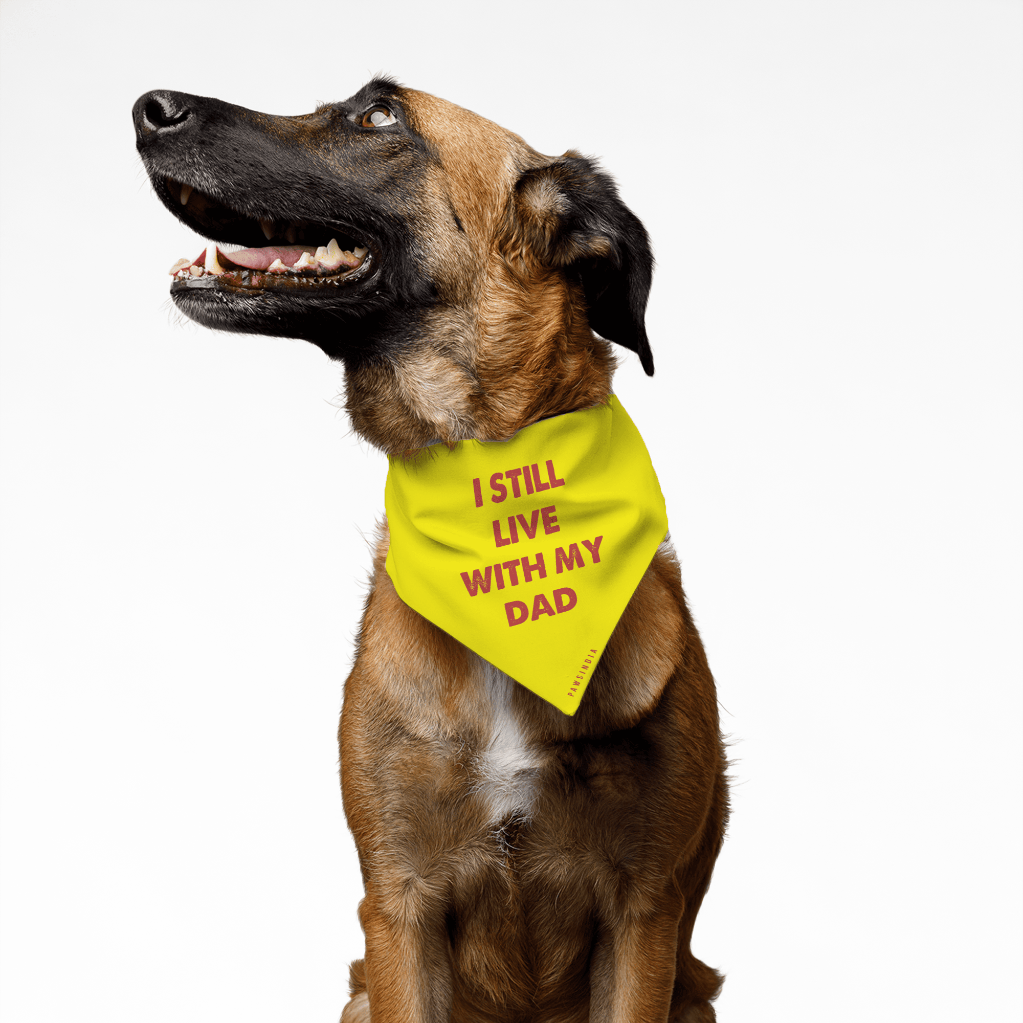 PawsIndia Pet Bandana - I Still Live With My Dad
