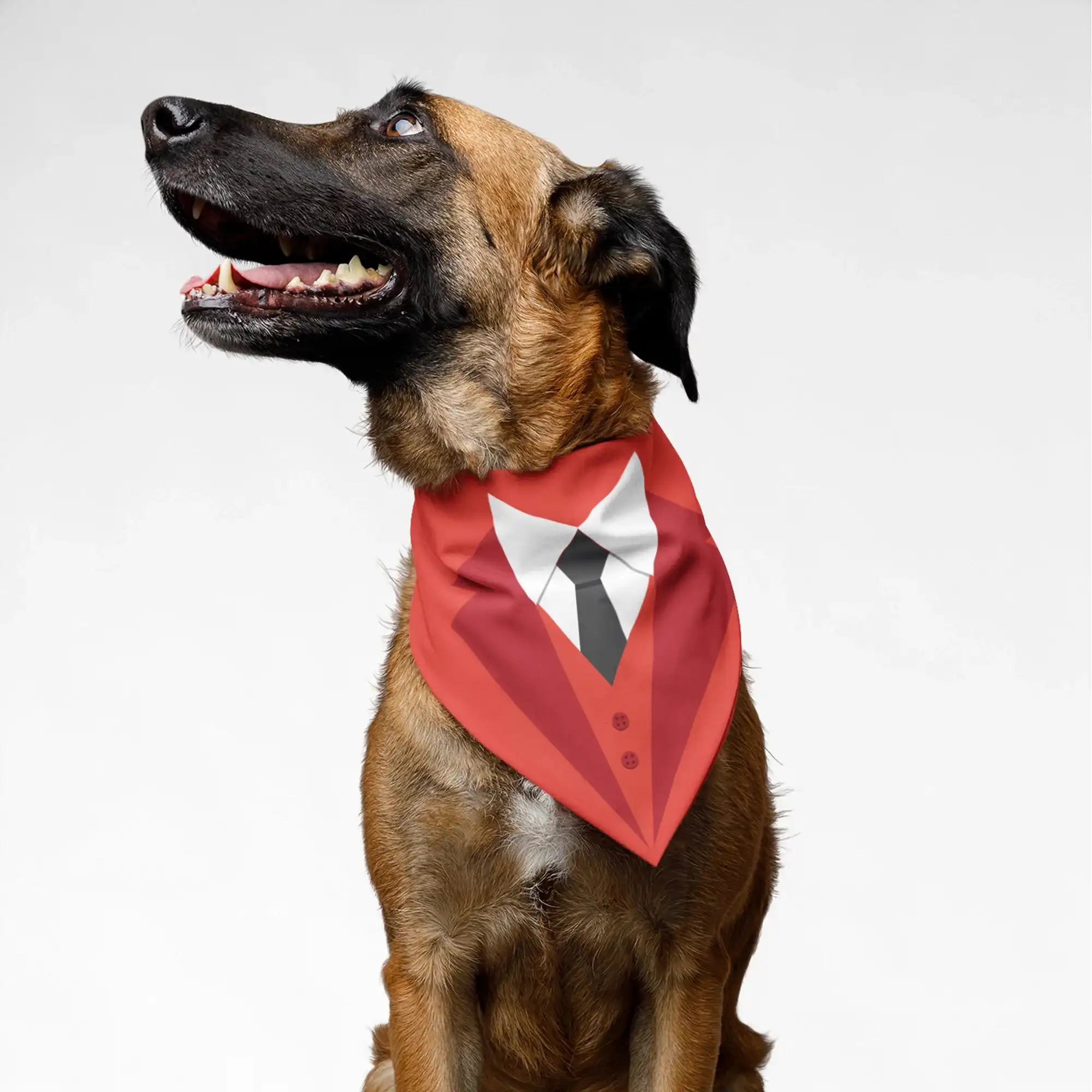 PawsIndia Pet Bandana - Tuxedo Red