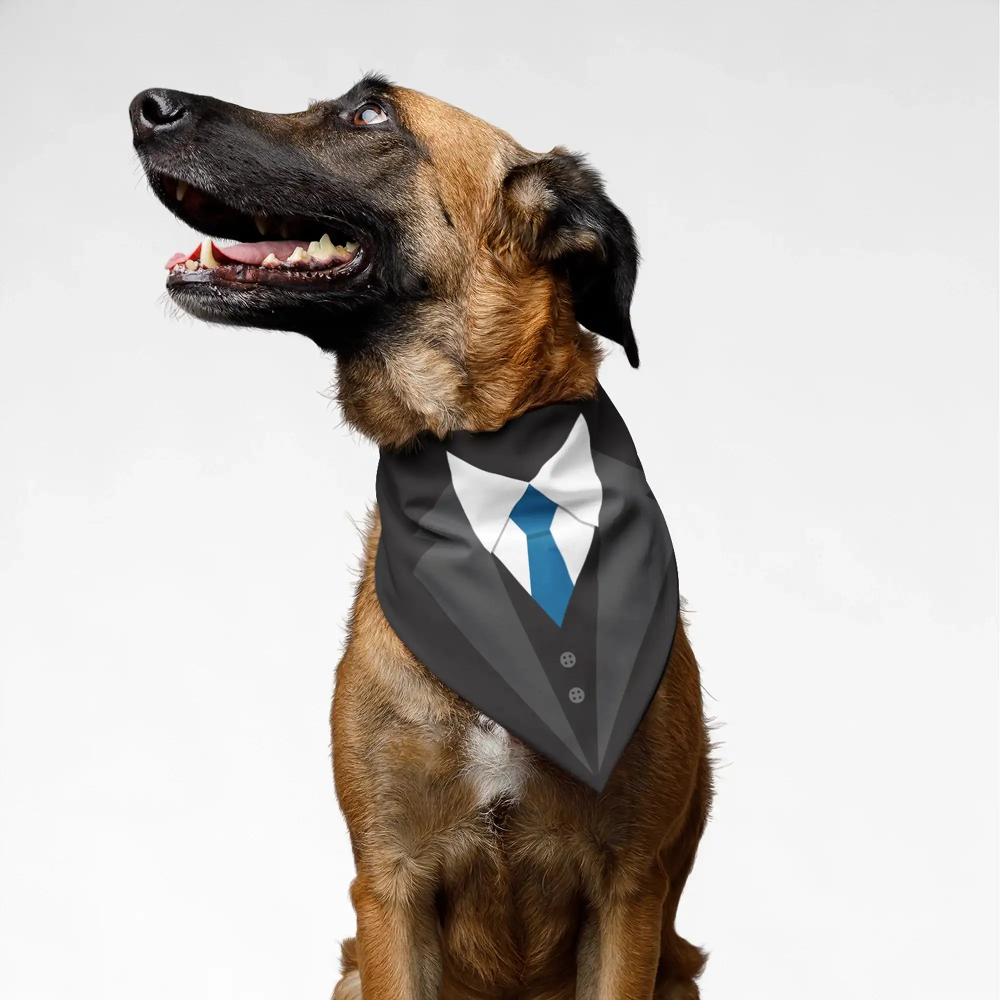 PawsIndia Pet Bandana - Tuxedo Dark Grey