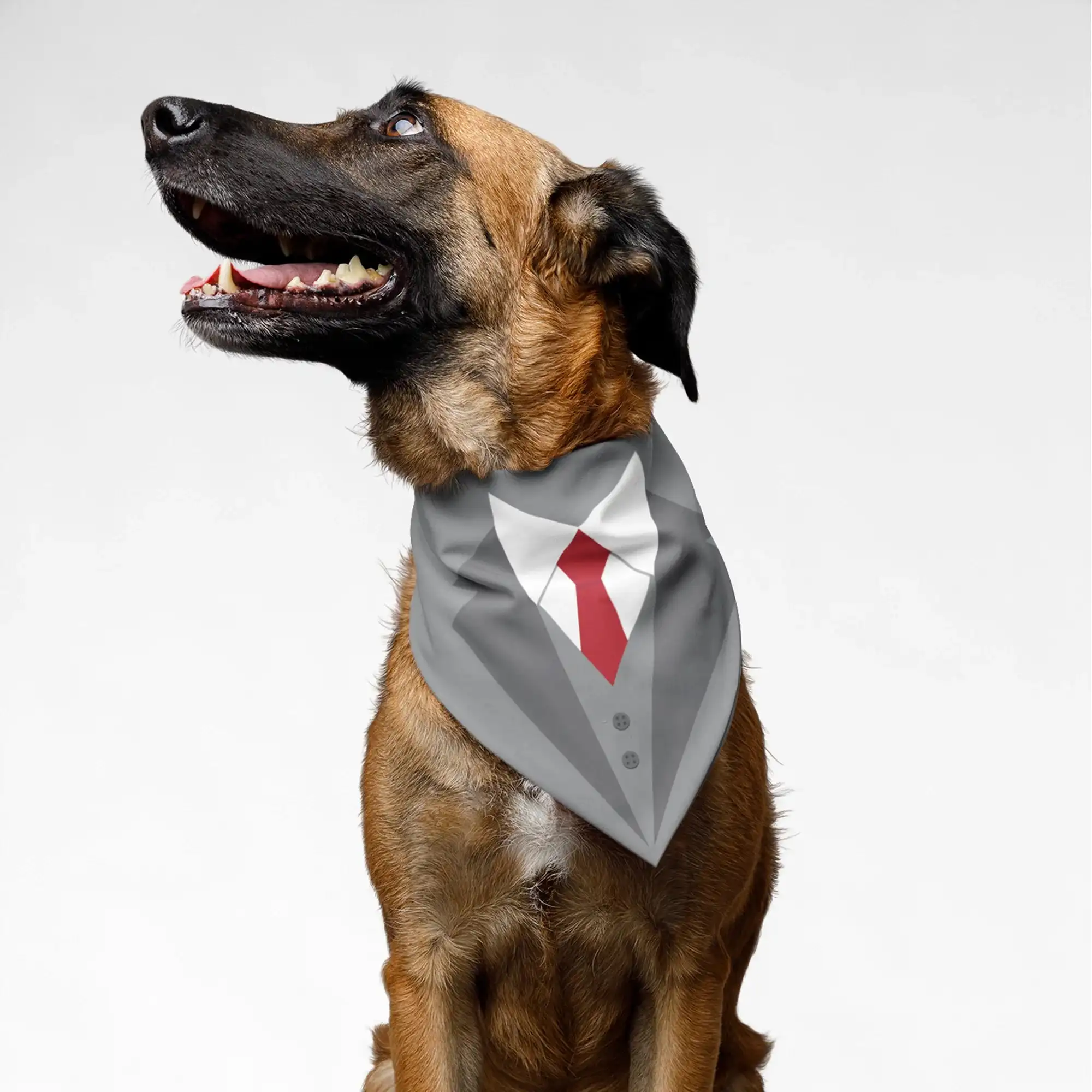PawsIndia | PawsIndia Pet Bandana - Tuxedo Grey