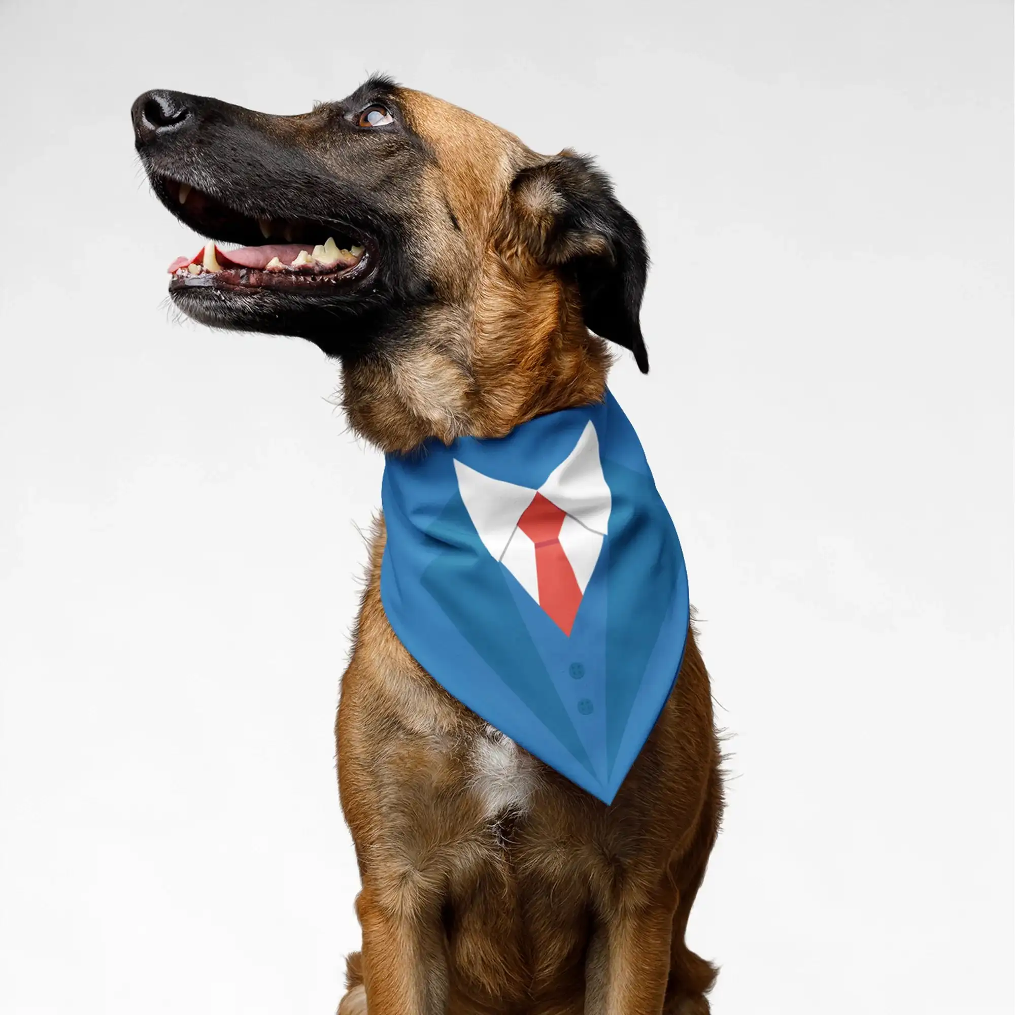 PawsIndia Pet Bandana - Tuxedo Blue