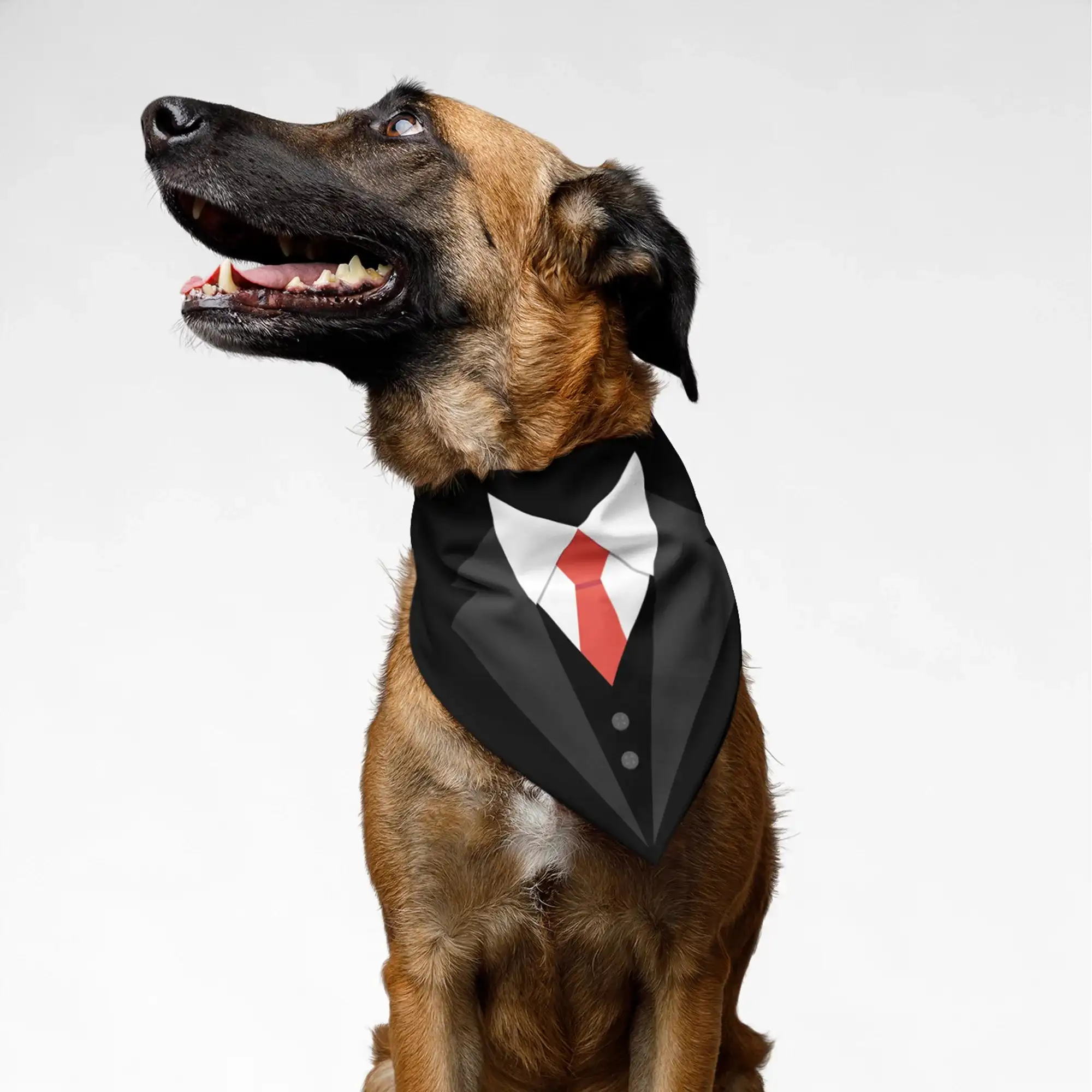 PawsIndia Pet Bandana - Tuxedo Black