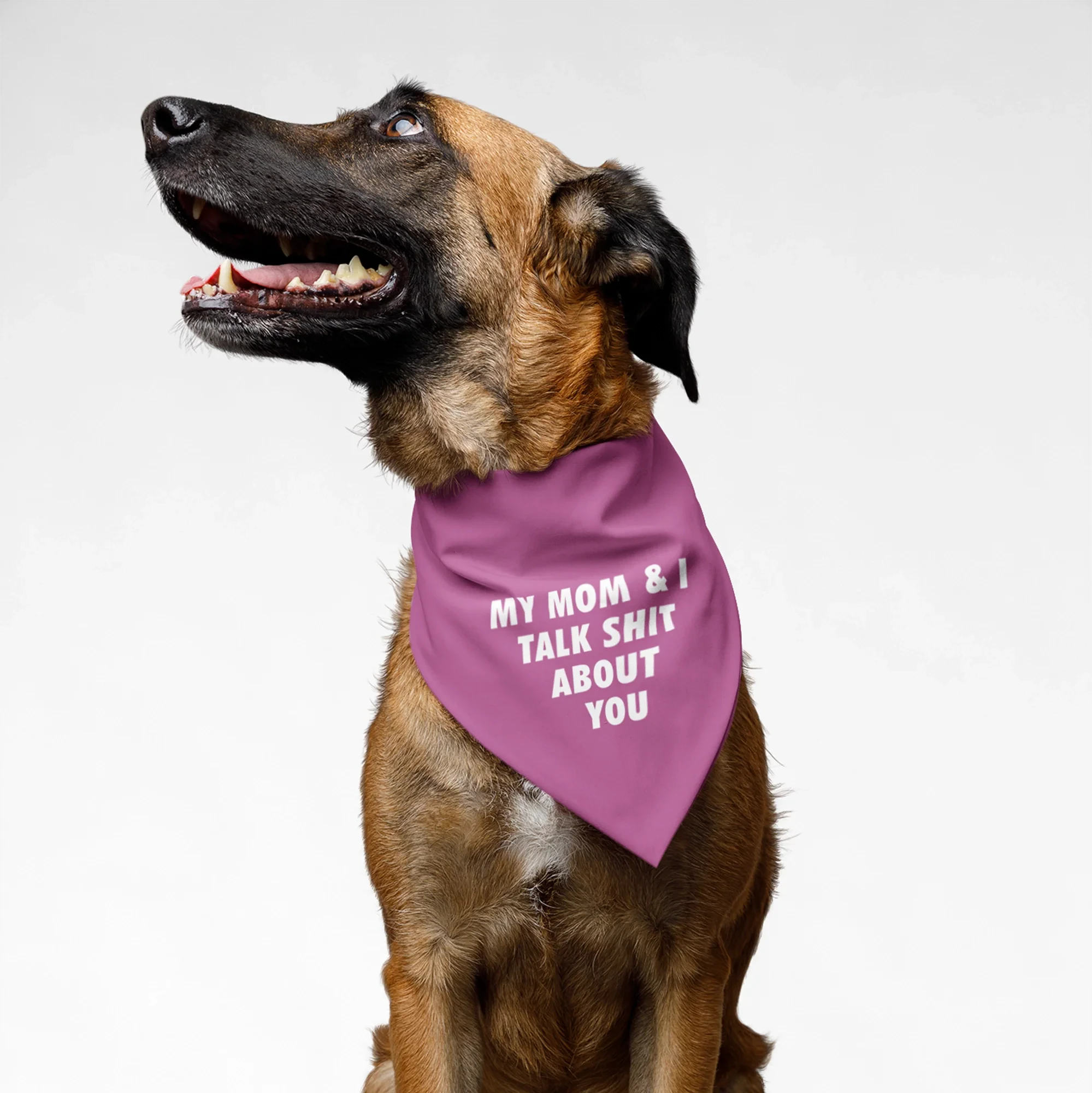 PawsIndia | PawsIndia Pet Bandana - My Mom & I Talks Shits About You