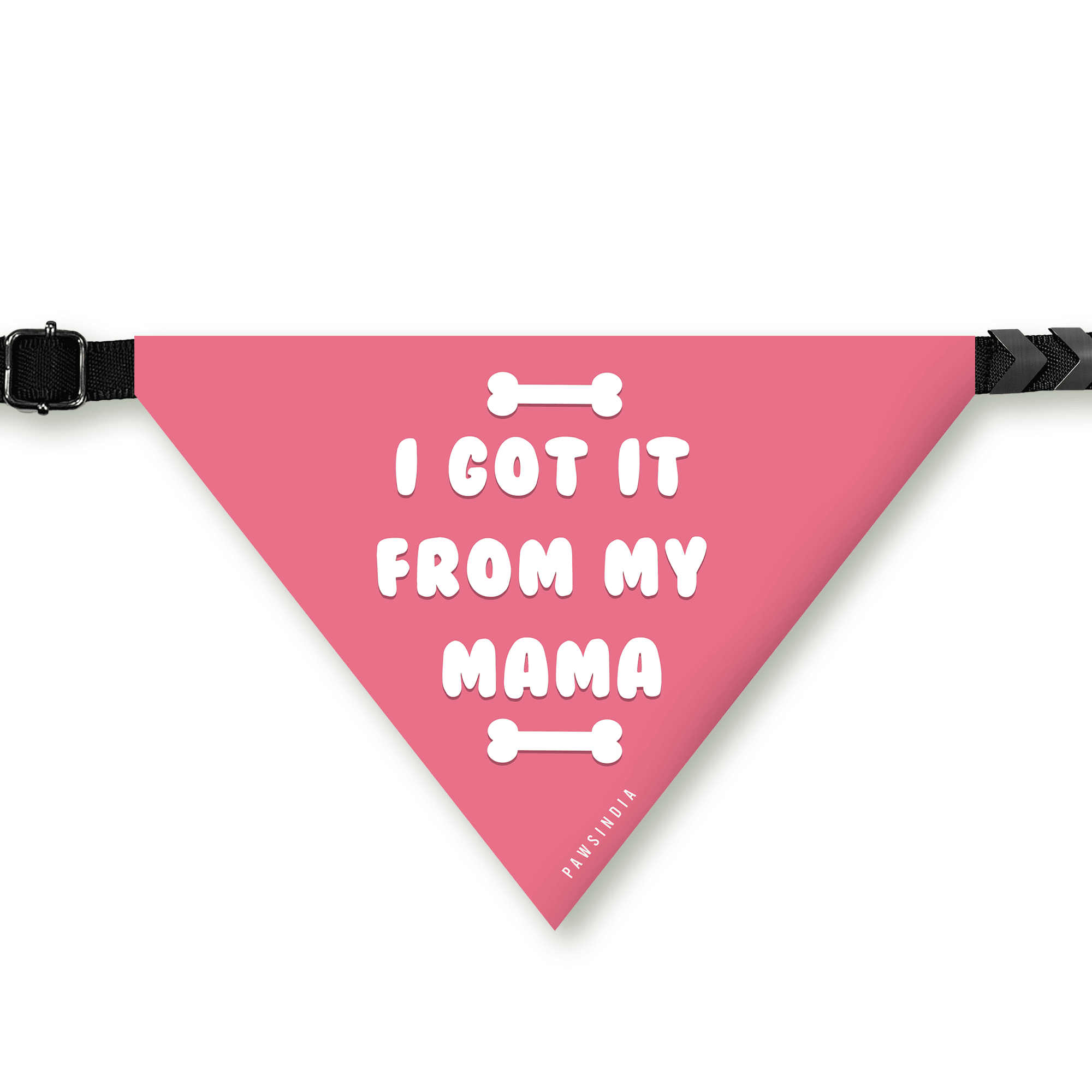 PawsIndia Pet Bandana - I Got It From My Mama