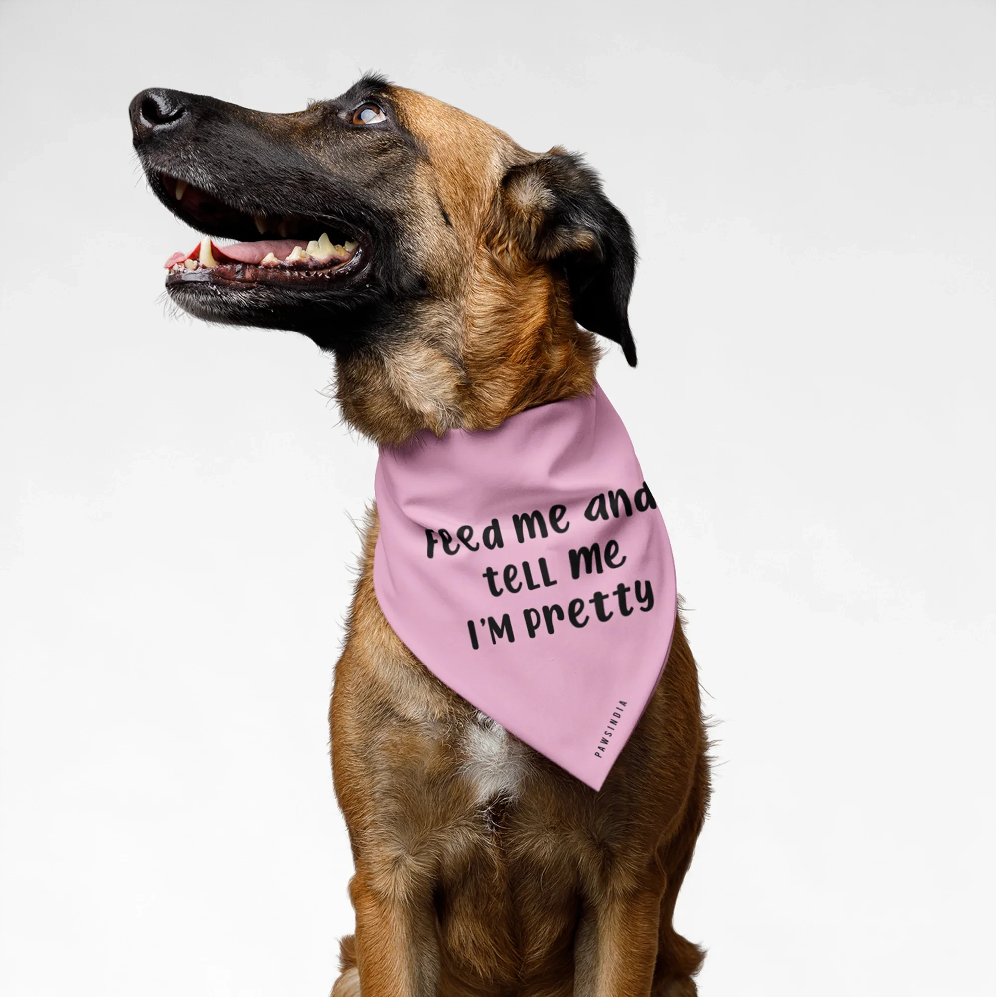 PawsIndia Pet Bandana - Feed Me & Tell Me I'm Pretty