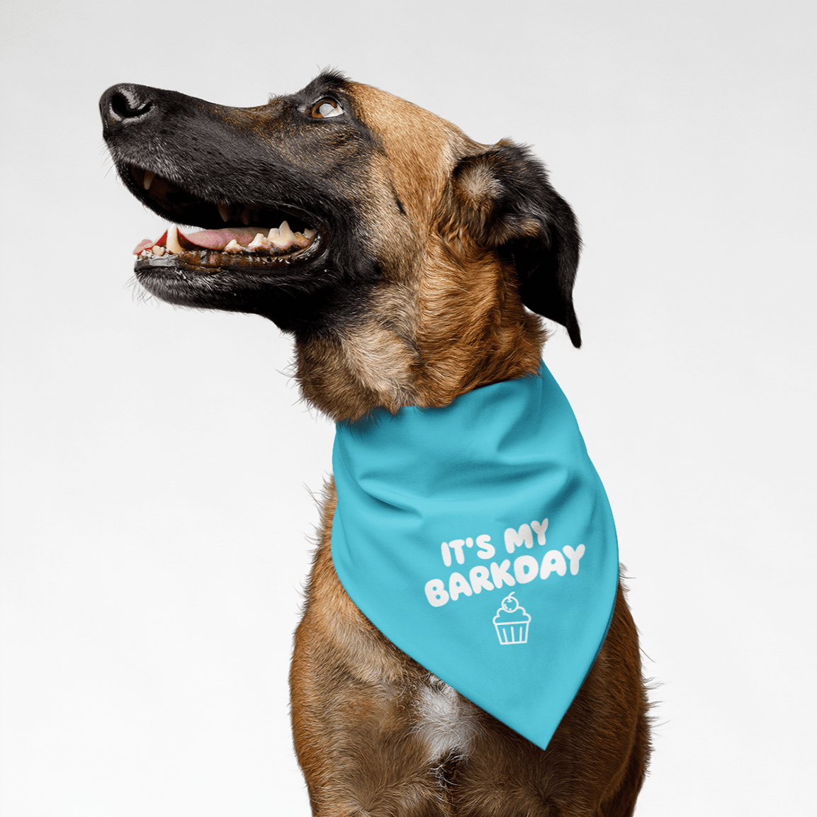 PawsIndia Pet Bandana - It's My Barkday