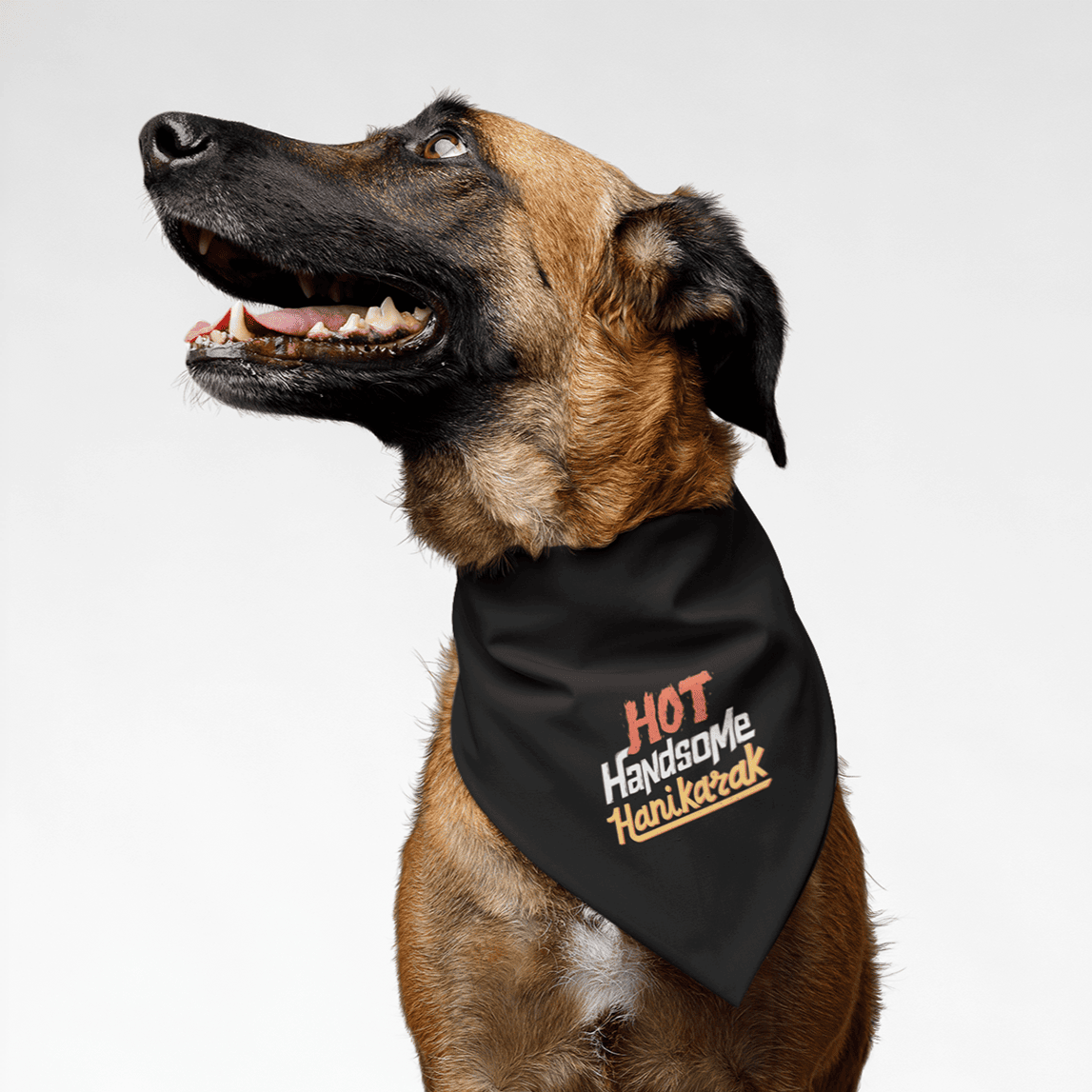 PawsIndia | PawsIndia Pet Bandana - Hot-Handsome-Hanikarak