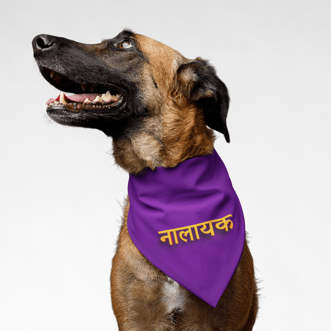 PawsIndia | PawsIndia Pet Bandana - Nalayak