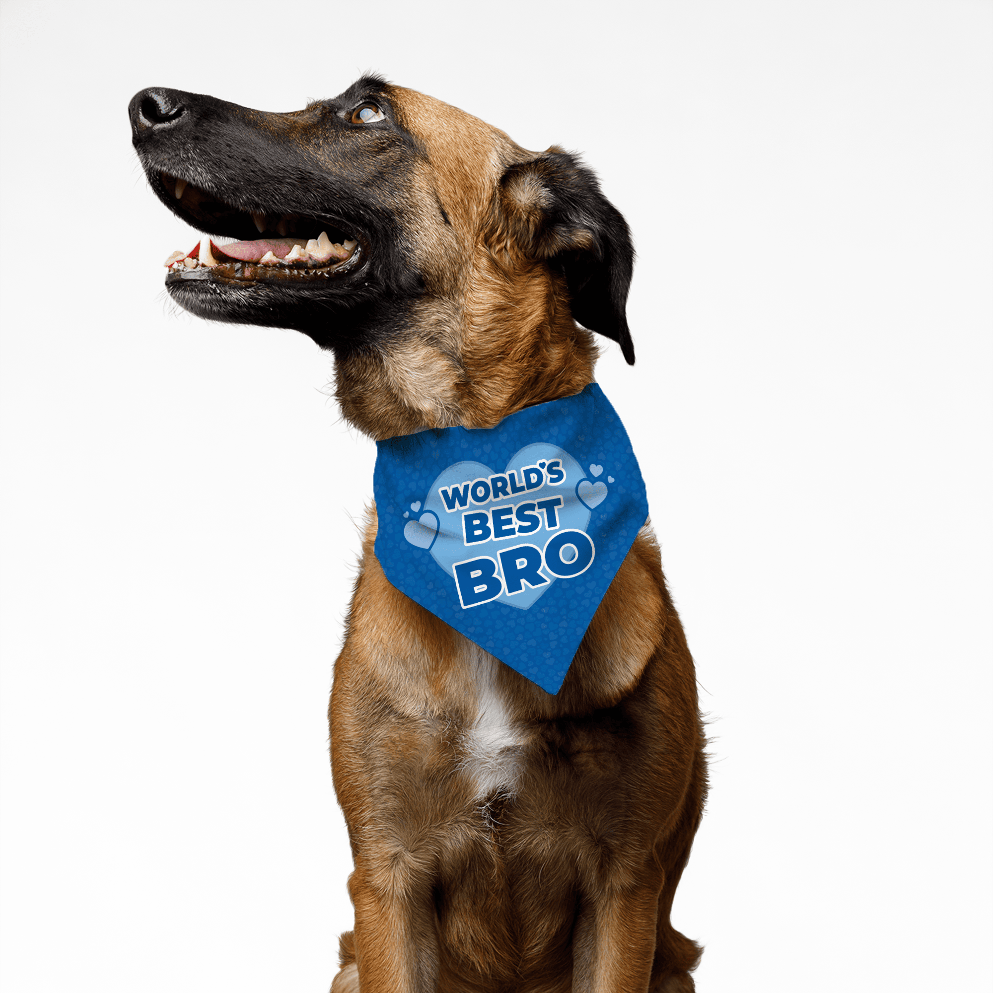 PawsIndia Pet Bandana - World's Best Bro