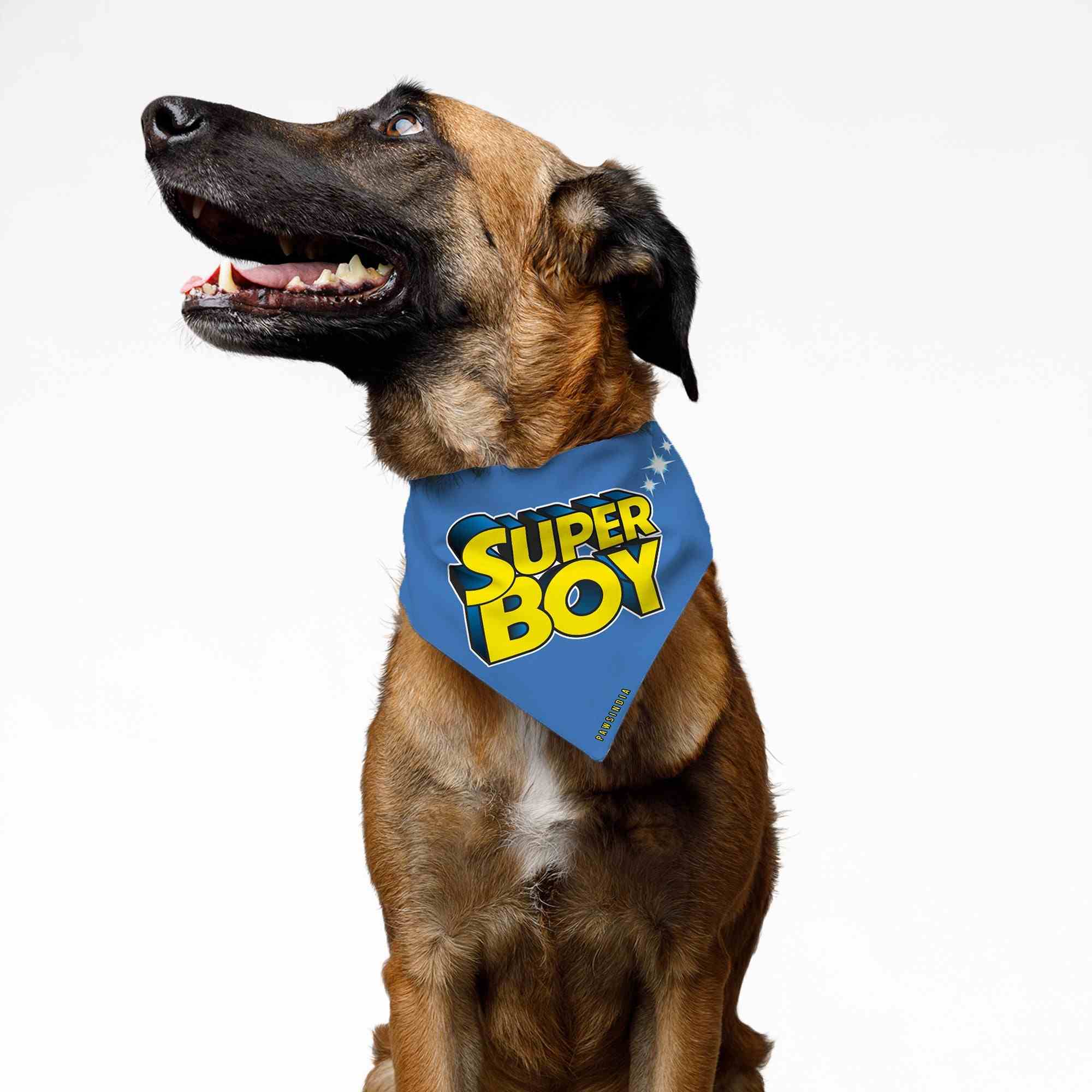 PawsIndia Pet Bandana - Super Boy - Blue