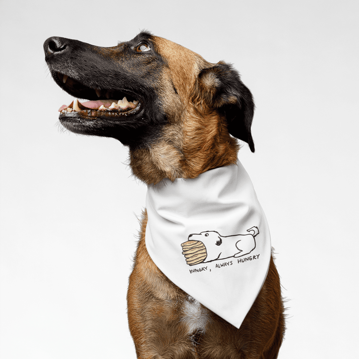 PawsIndia Dog Bandana - Hungry