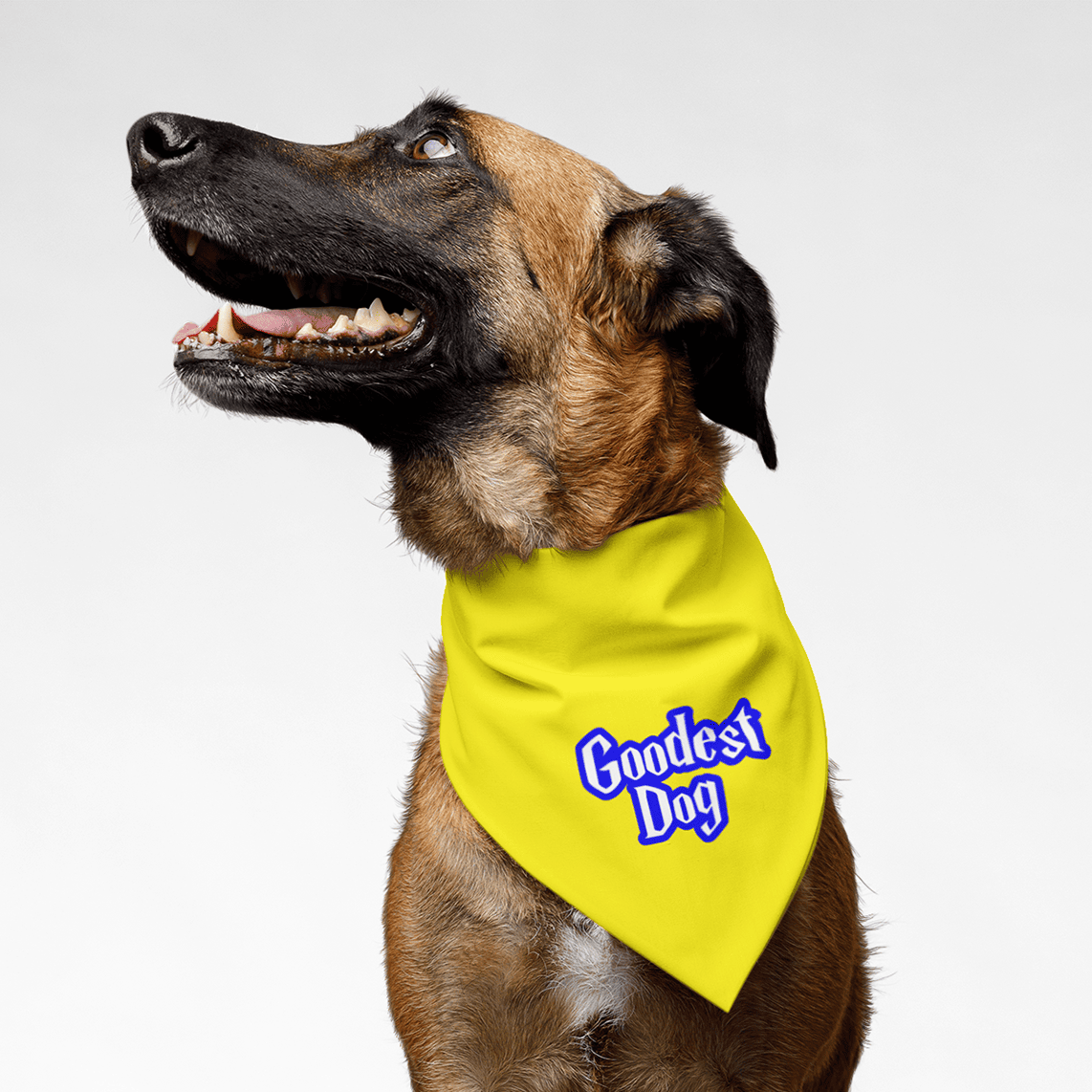 PawsIndia Dog Bandana - Goodest Dog