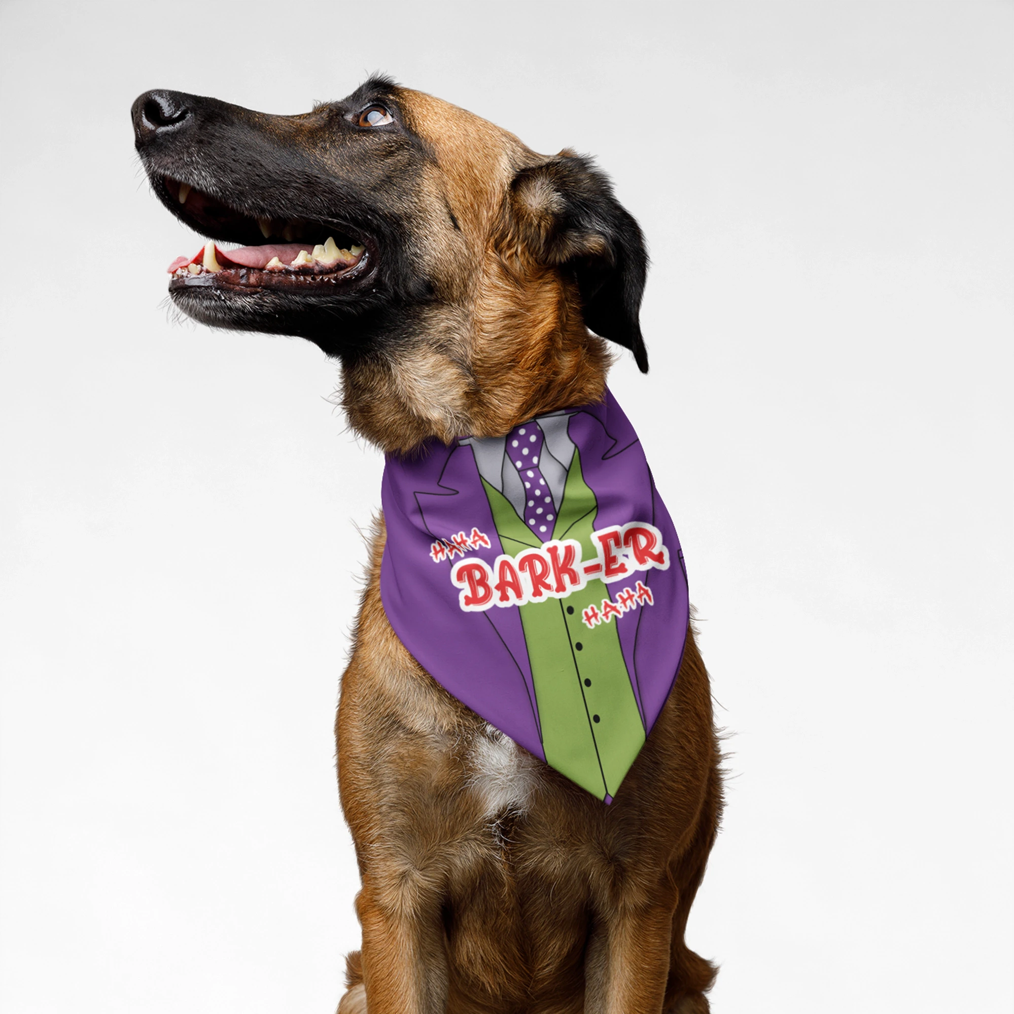 PawsIndia Dog Bandana - BARKER