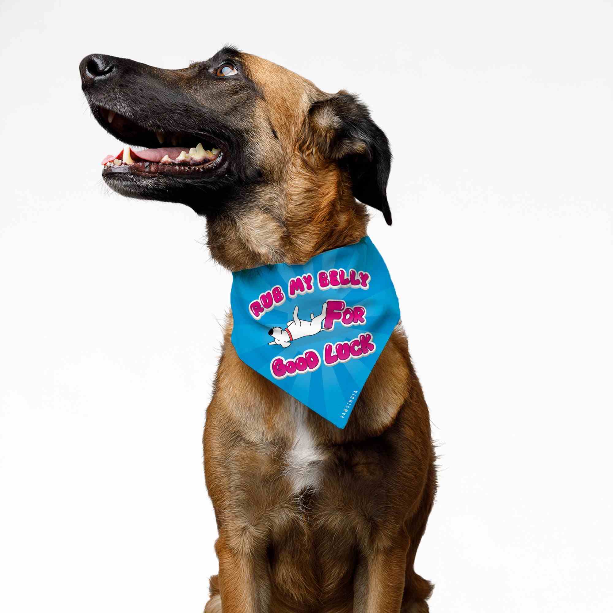 PawsIndia Dog Bandana - Rub My Belly For Good Luck