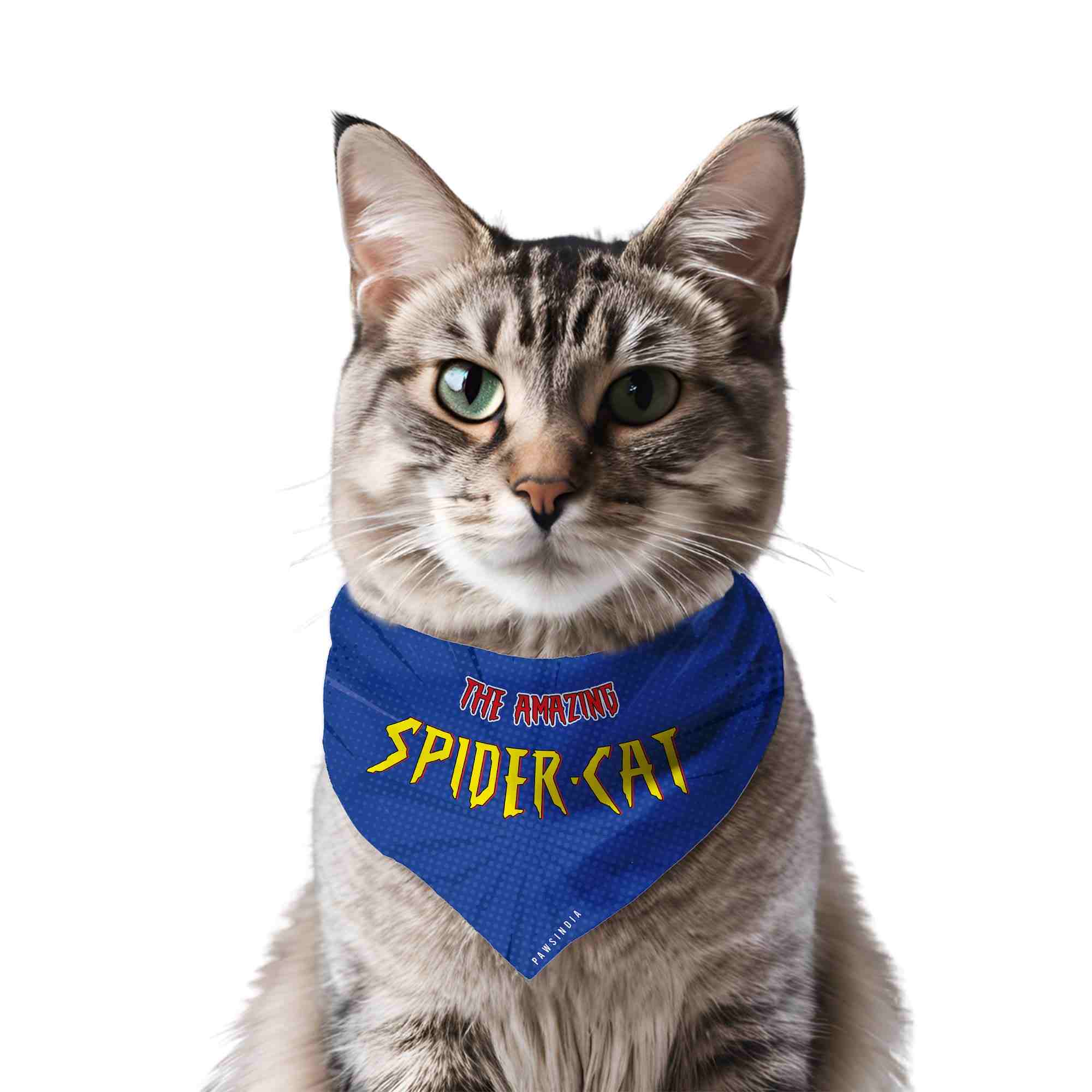 PawsIndia Cat Bandana - Spider Cat