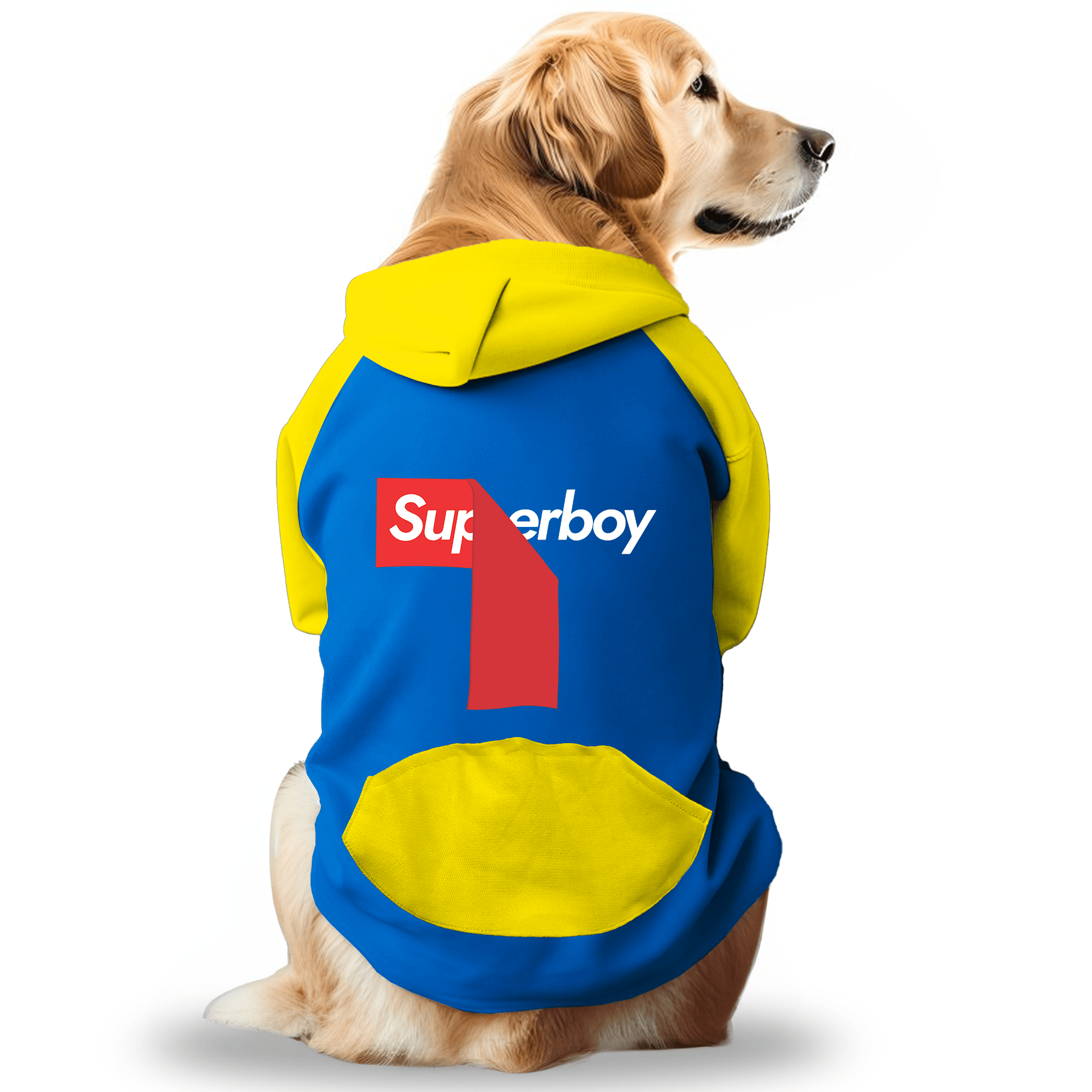 PawsIndia Dual Pattern Dog & Cat Hoodie - SuperBoy (Blue)