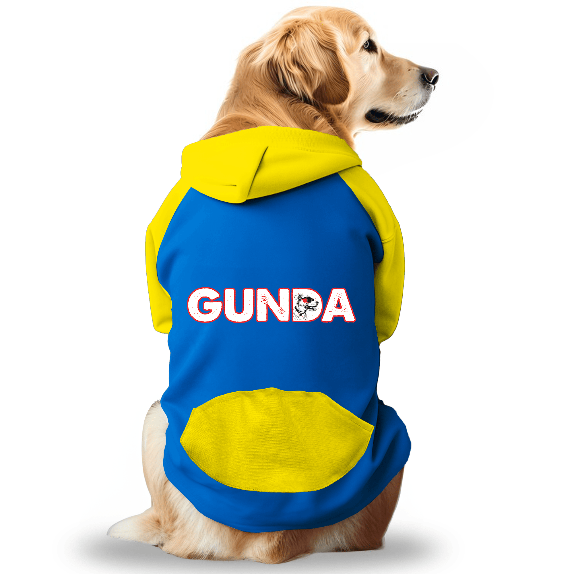 PawsIndia Dual Pattern Dog & Cat Hoodie - Gunda (Blue)