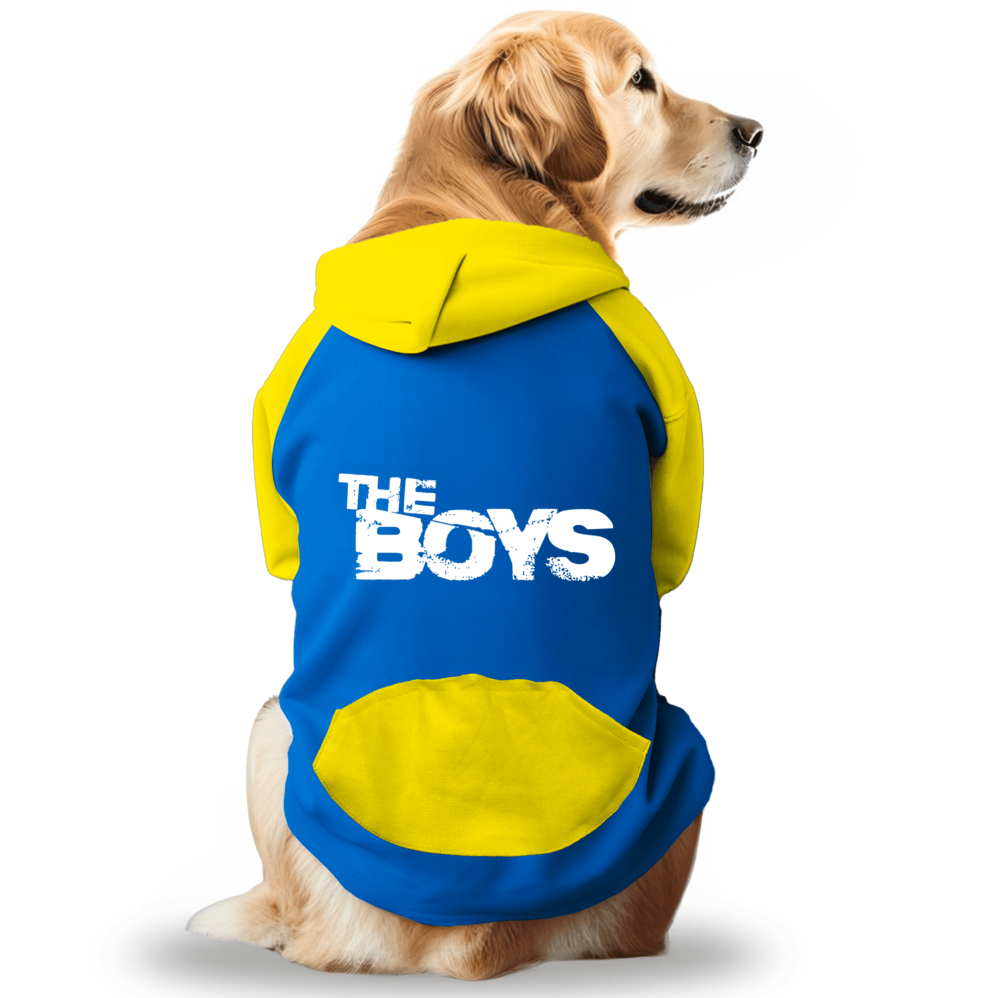 PawsIndia Dual Pattern Dog & Cat Hoodie - The Boys (Blue)