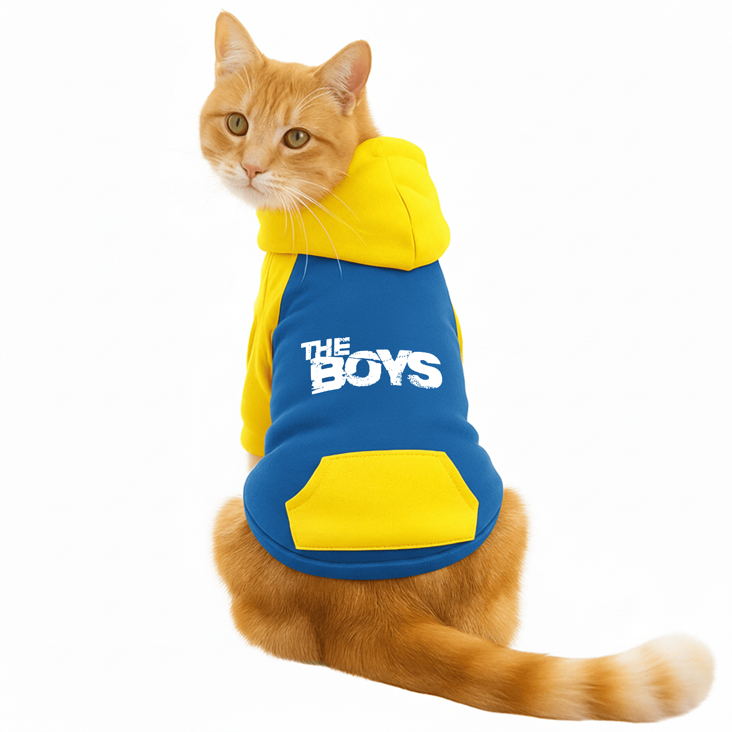 PawsIndia Dual Pattern Dog & Cat Hoodie - The Boys (Blue)
