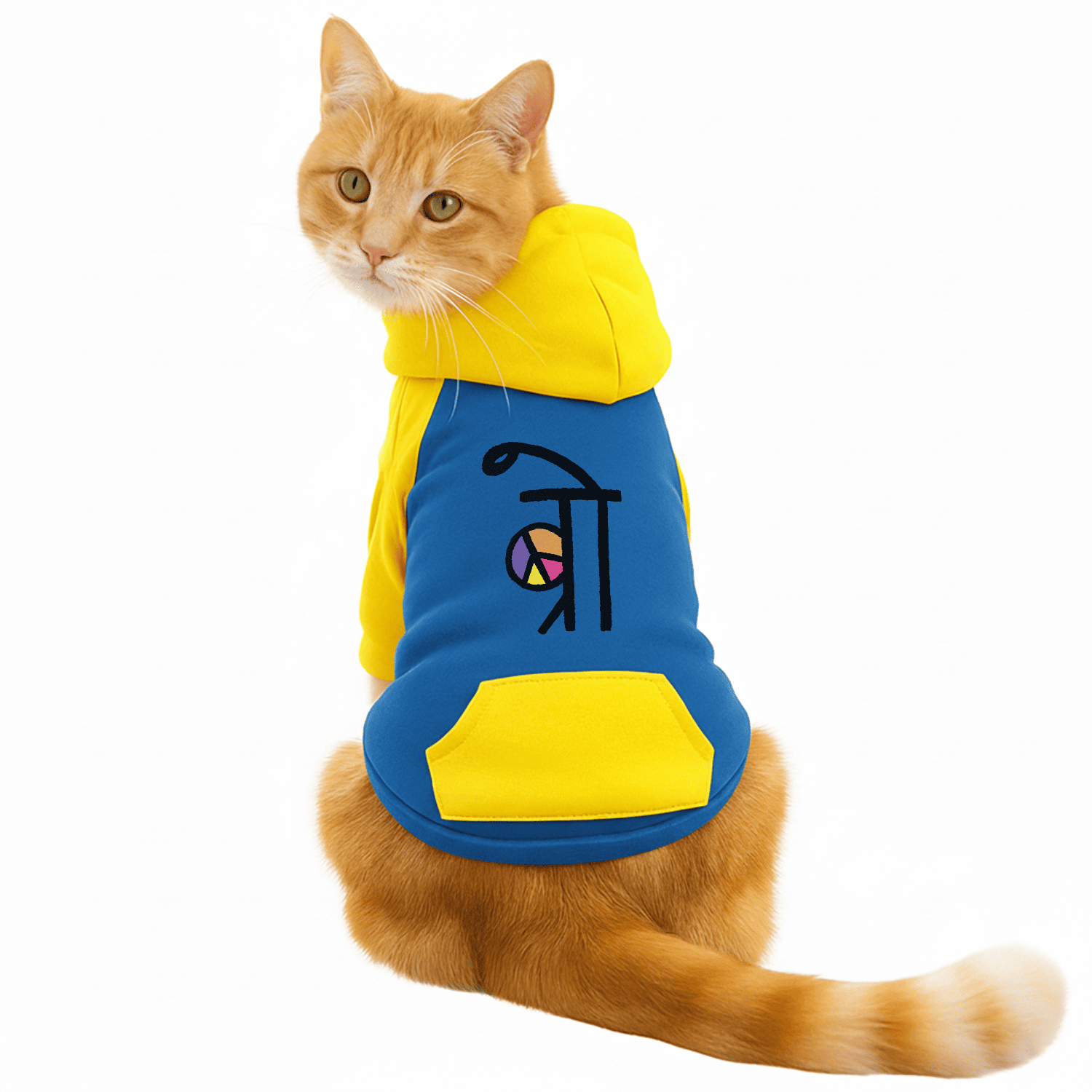 PawsIndia Dual Pattern Dog & Cat Hoodie - Bro (Blue)