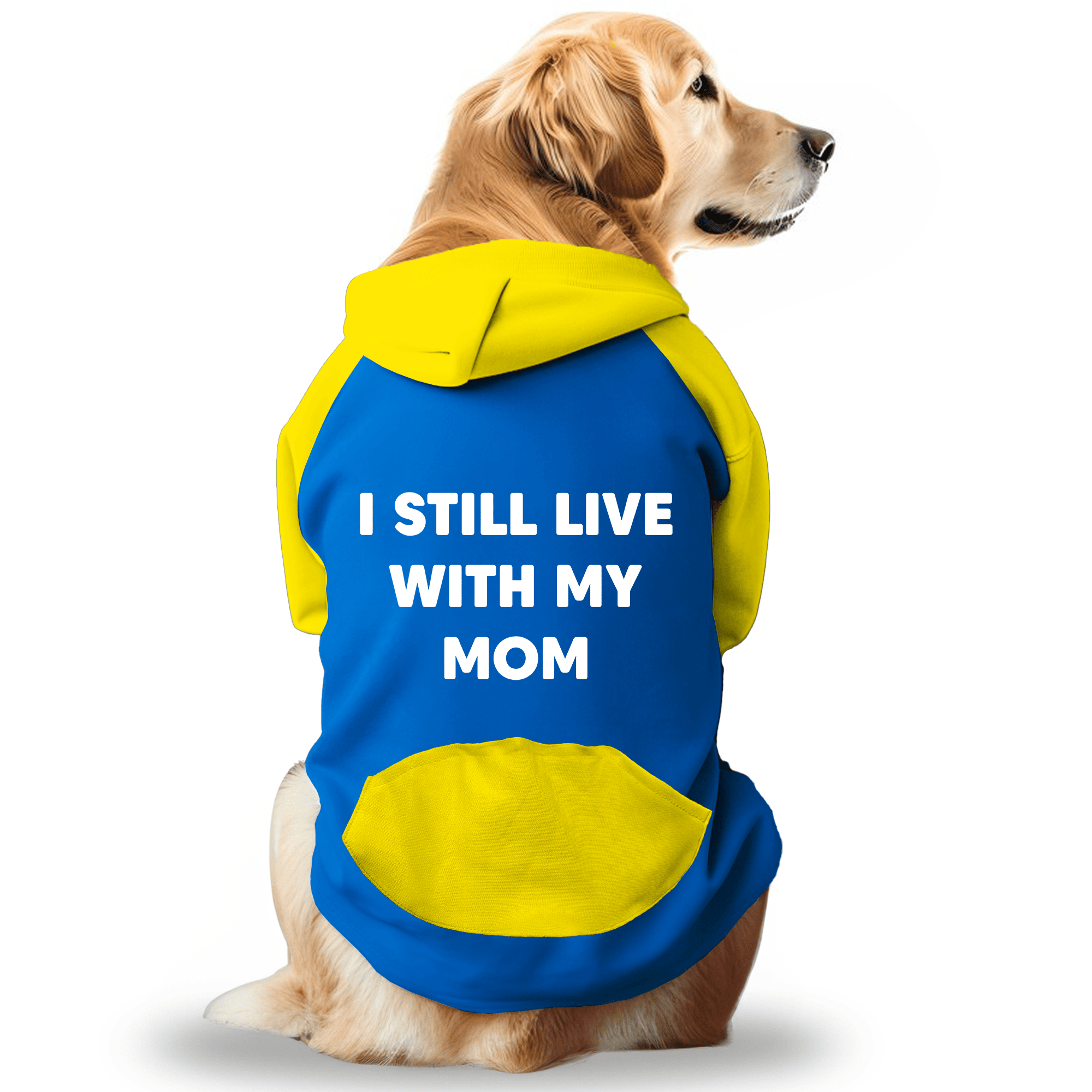 PawsIndia Dual Pattern Dog & Cat Hoodie - I Still Live with My Mom (Blue)