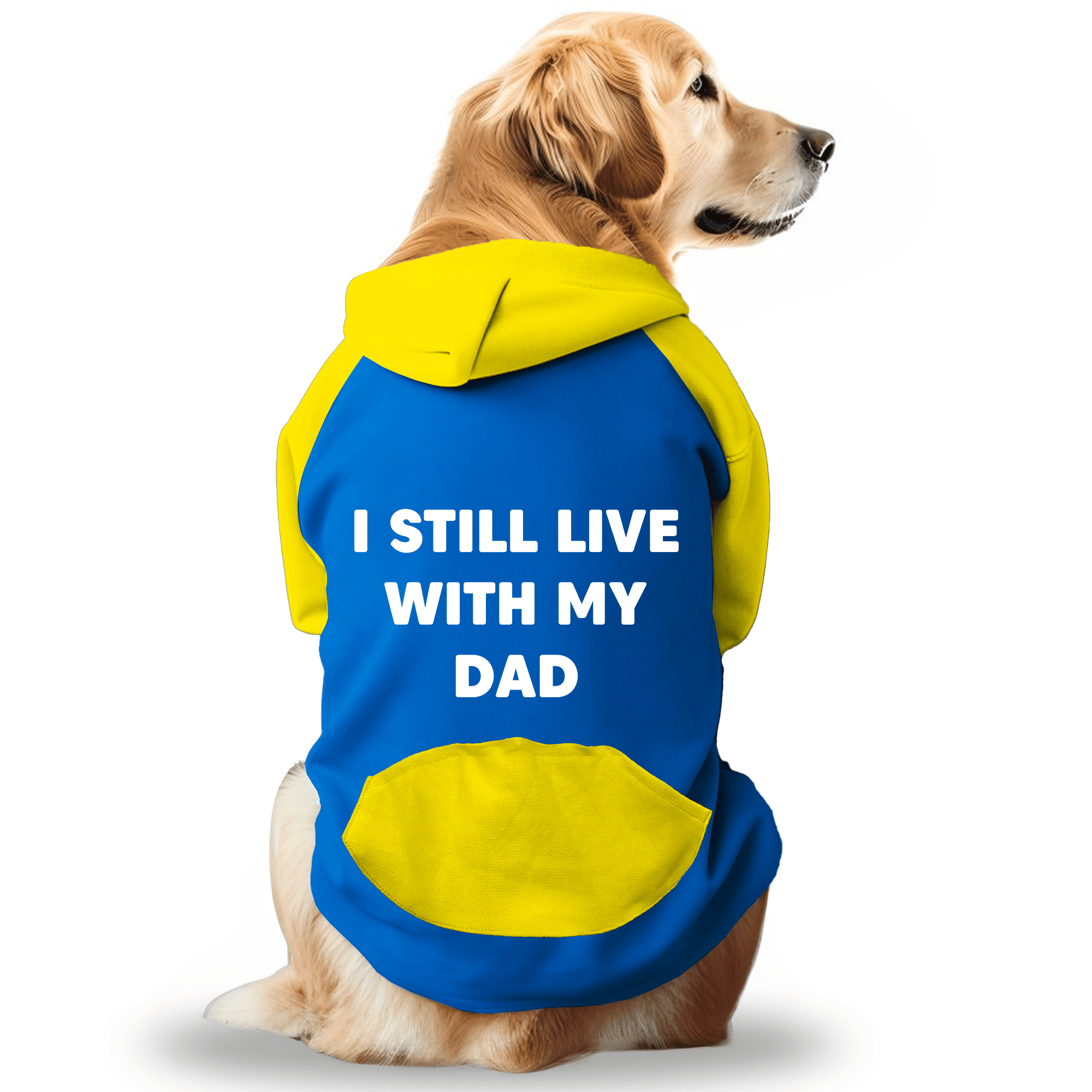 PawsIndia Dual Pattern Dog & Cat Hoodie - I Still Live with My Dad (Blue)