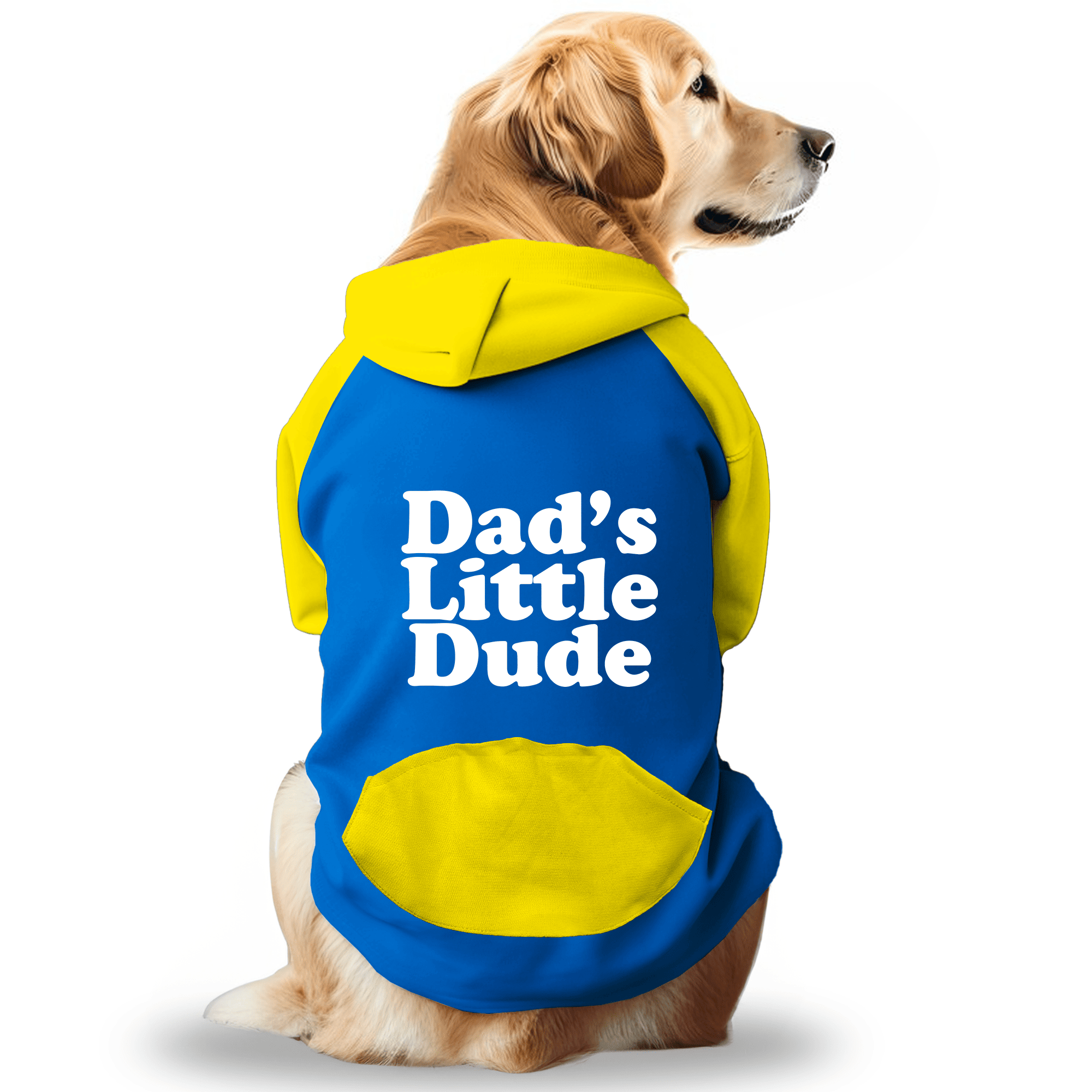 PawsIndia Dual Pattern Dog & Cat Hoodie - Dad's Little Dude (Blue)