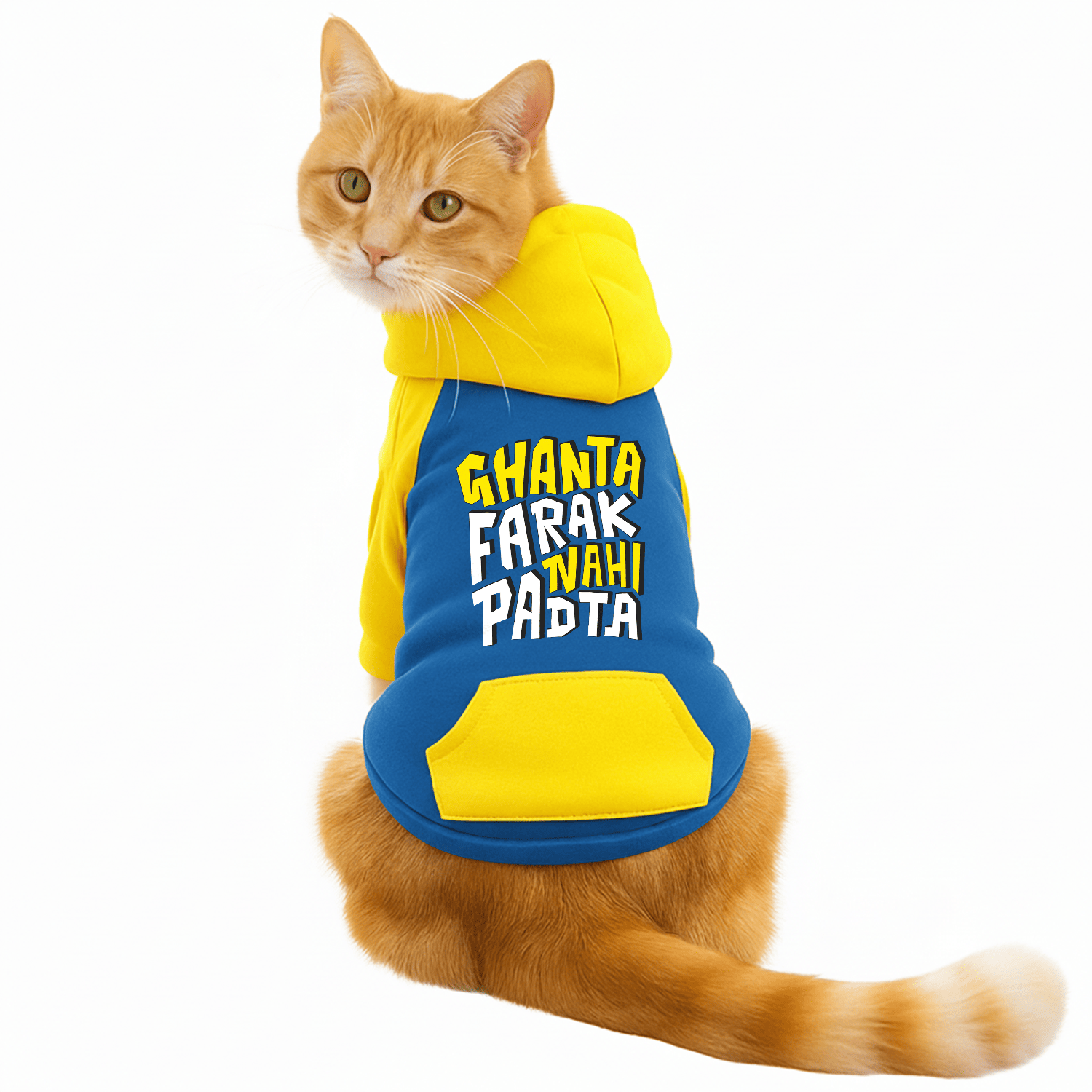 PawsIndia Dual Pattern Dog & Cat Hoodie - Ghanta Farak Nahi Padta (Blue)