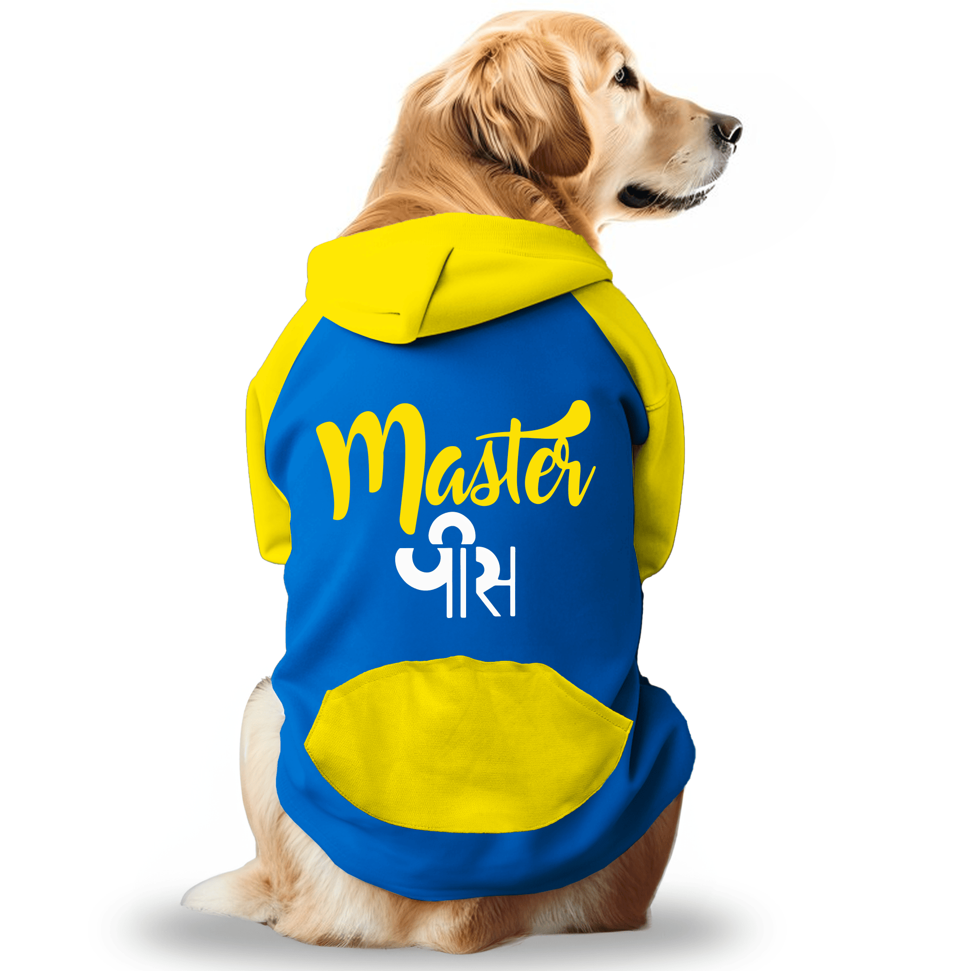 PawsIndia Dual Pattern Dog & Cat Hoodie - Master Piece (Blue)
