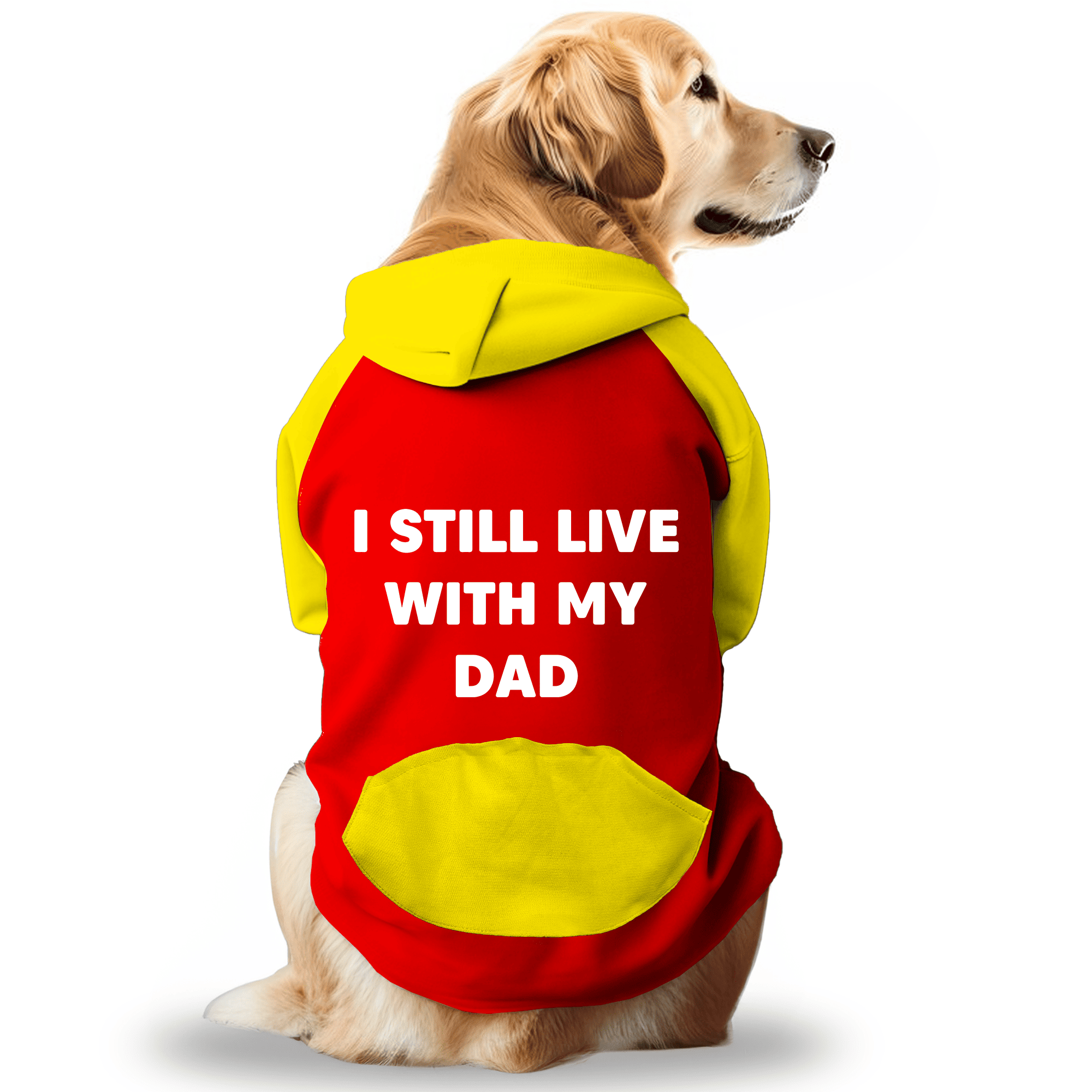 PawsIndia Dual Pattern Dog & Cat Hoodie - I Still Live with My Dad (Red)