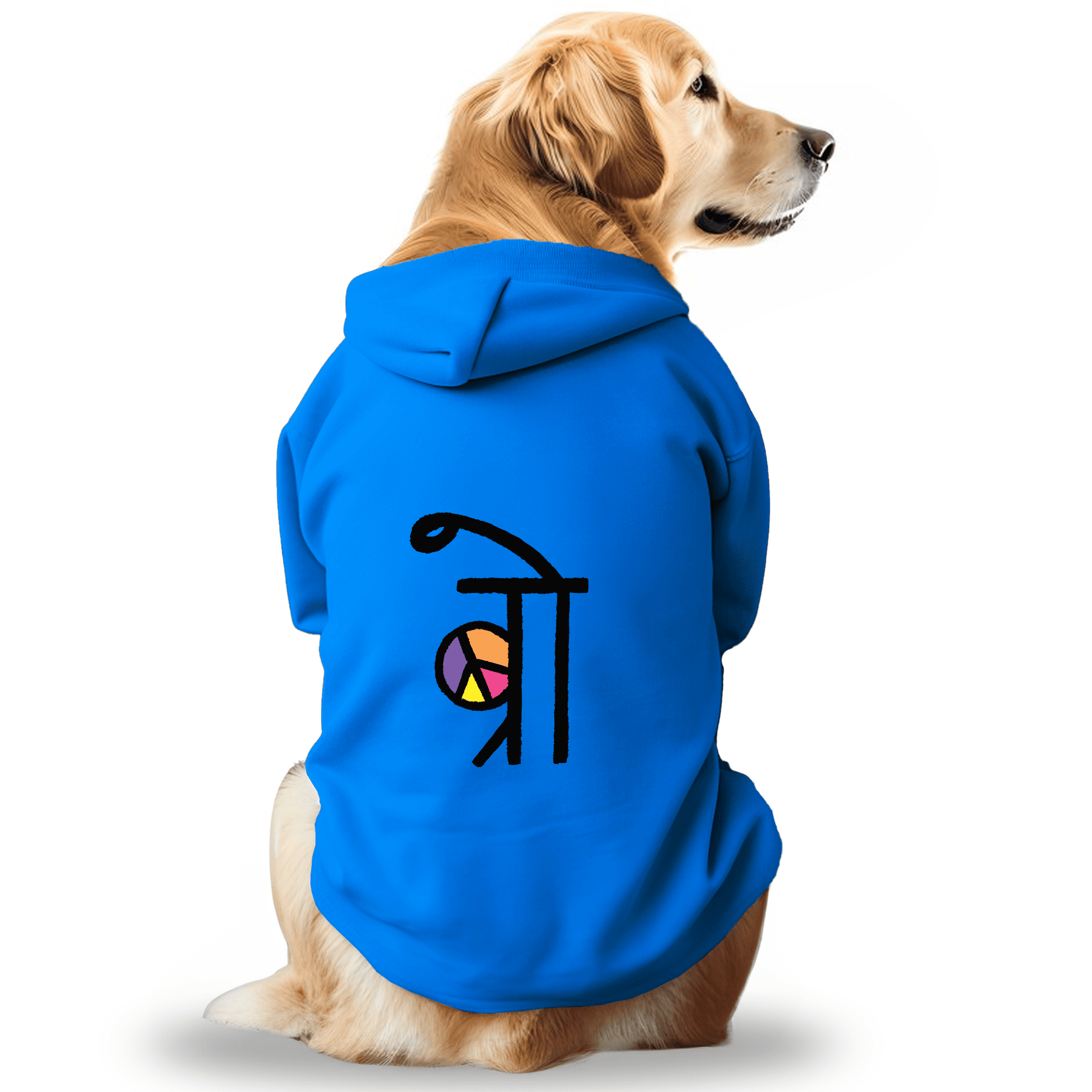 Pawsindia Dog & Cat Hoodie - Bro (Blue)