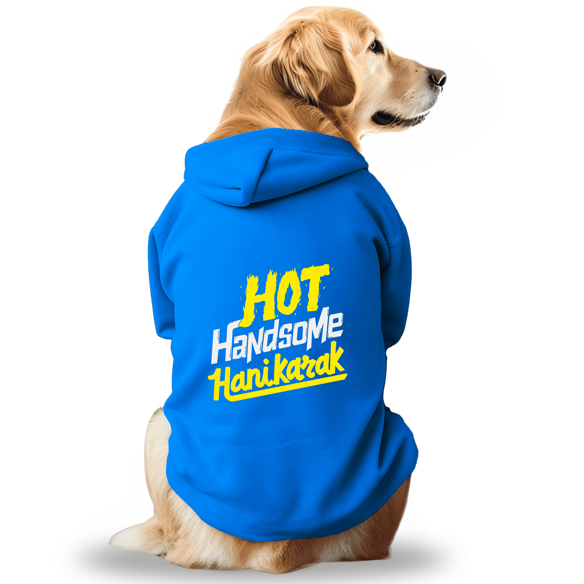 Pawsindia Dog & Cat Hoodie - Hot Handsome Hanikarak (Blue)