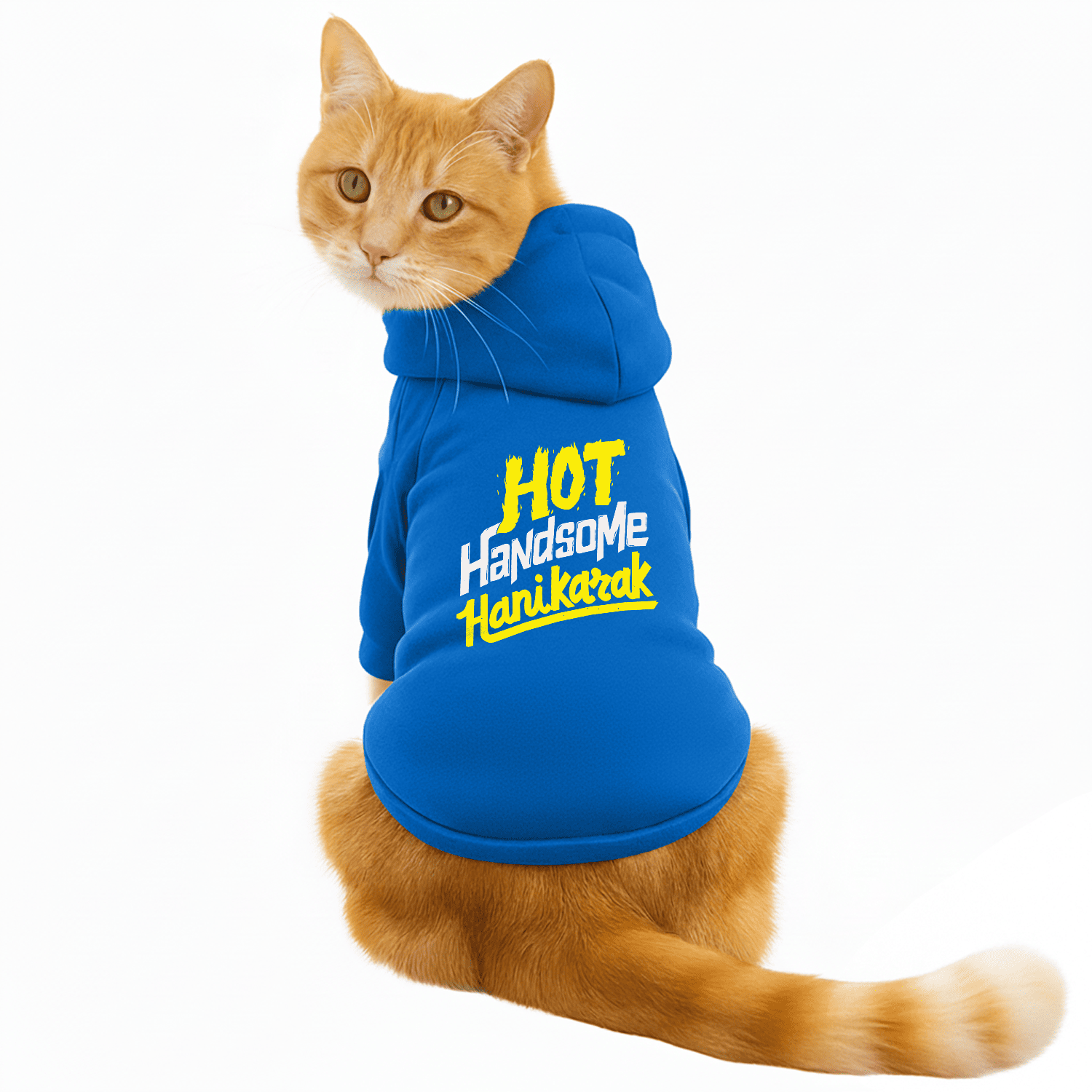Pawsindia Dog & Cat Hoodie - Hot Handsome Hanikarak (Blue)