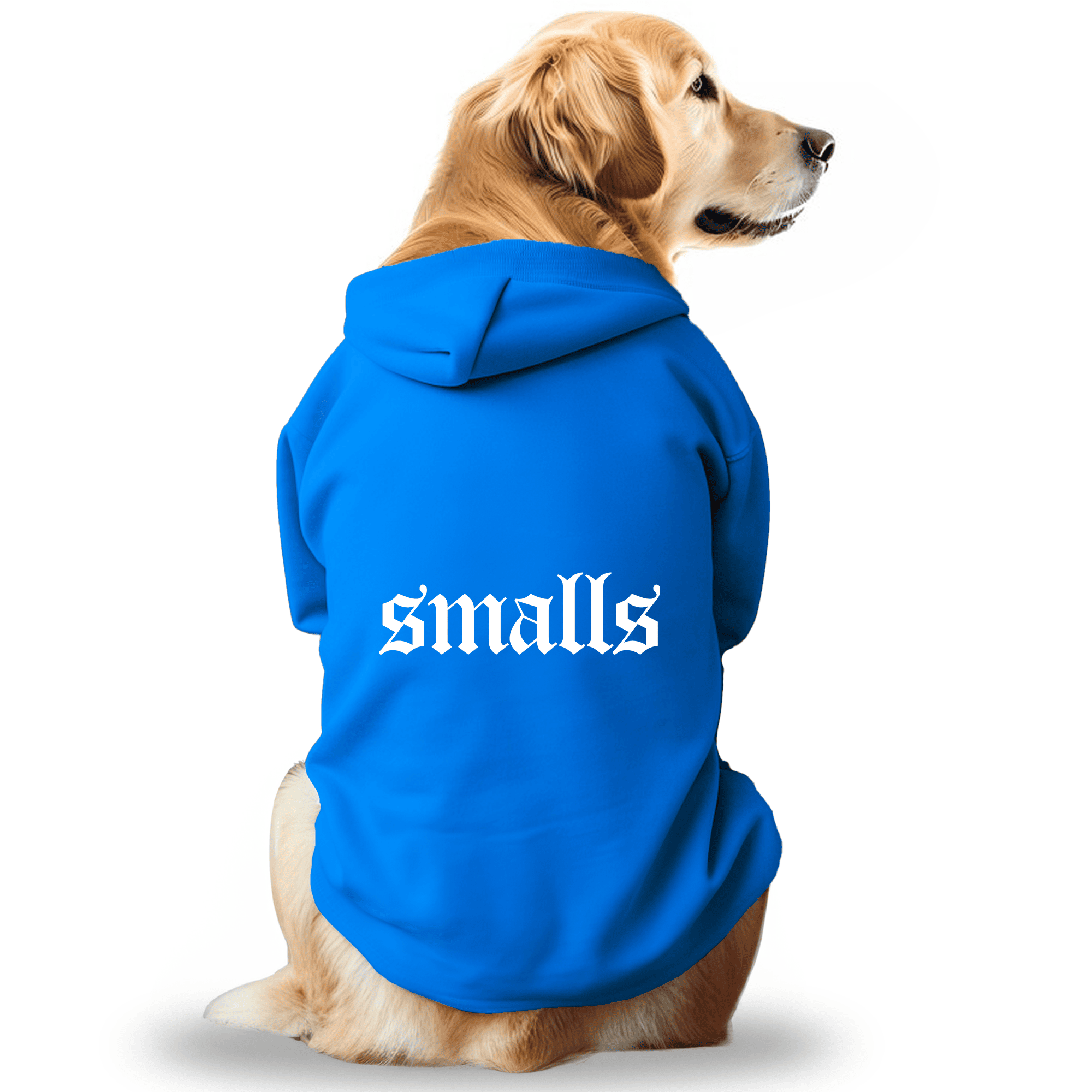 Pawsindia Dog & Cat Hoodie - Smalls (Blue)
