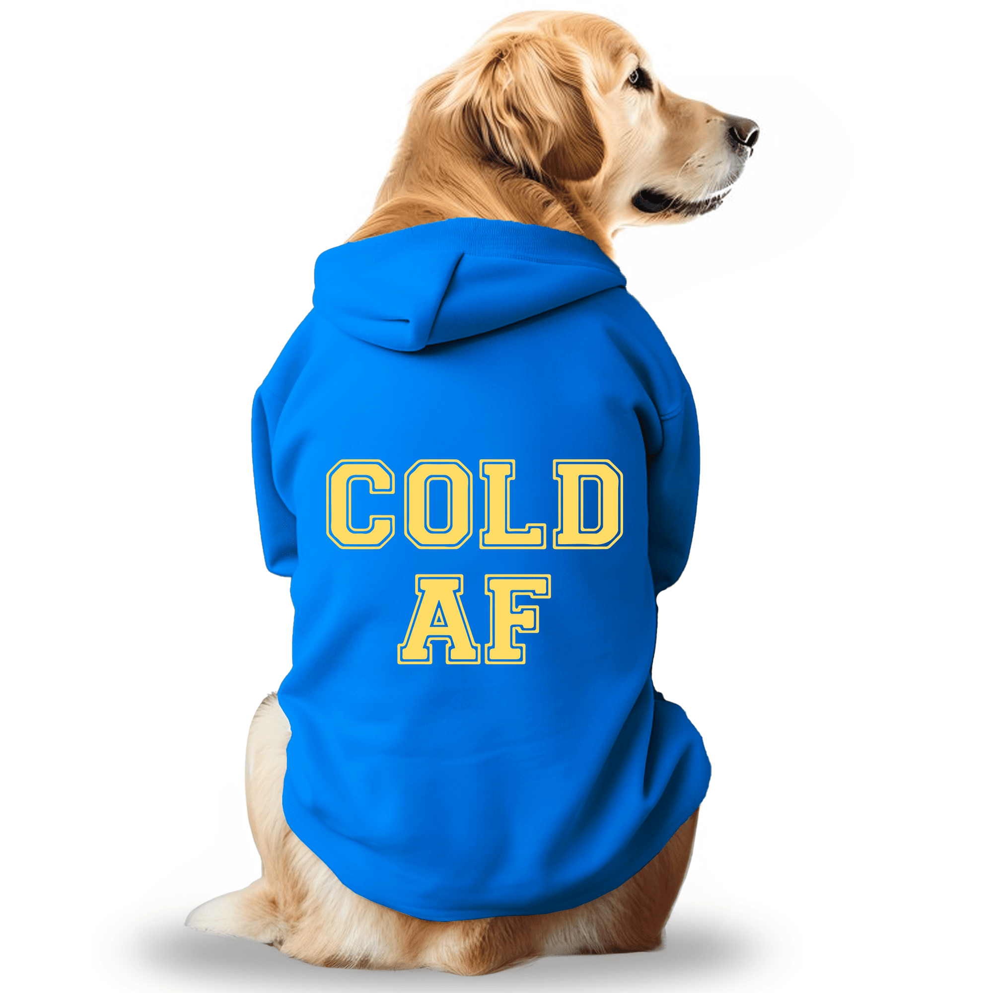 Pawsindia Dog & Cat Hoodie - Cold AF (Blue)