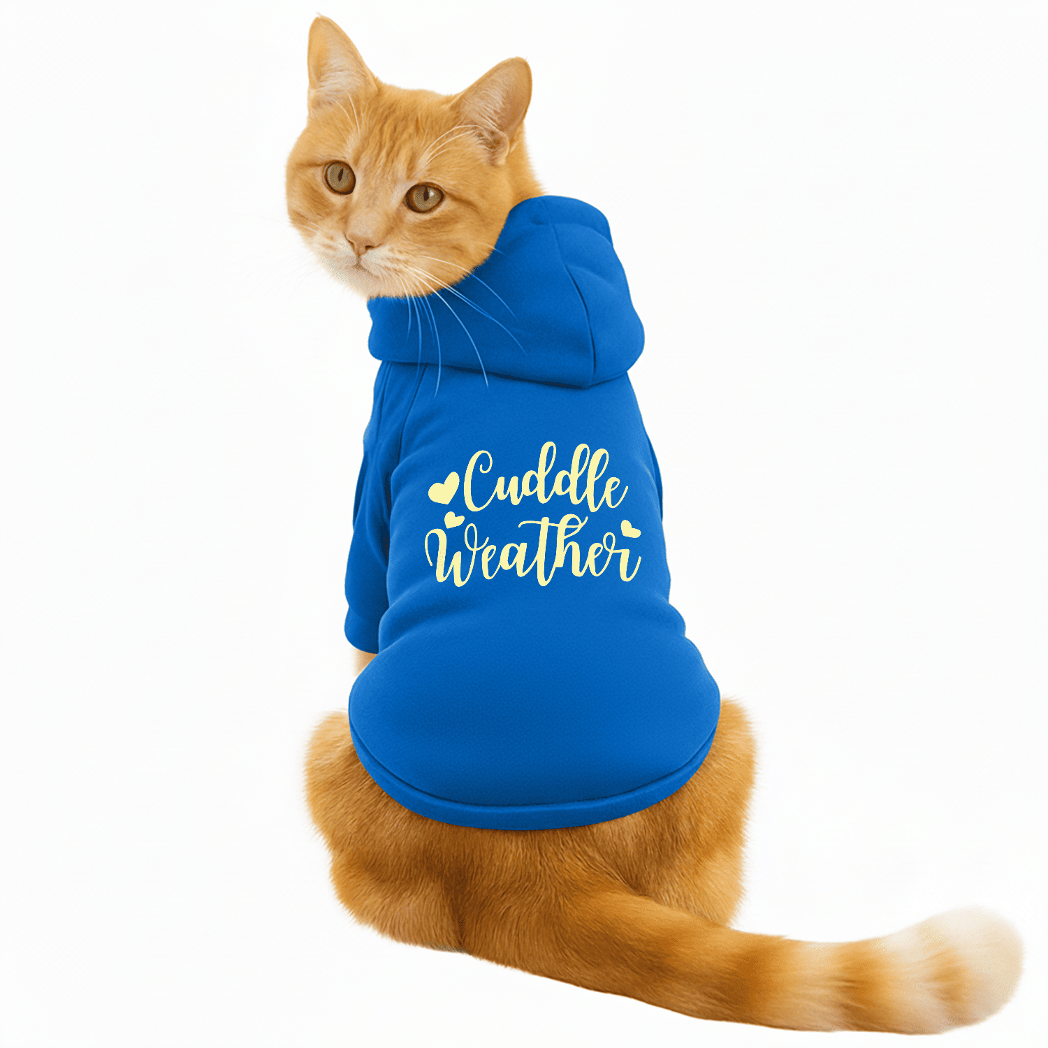 Pawsindia Dog & Cat Hoodie - Cuddle Weather (Blue)