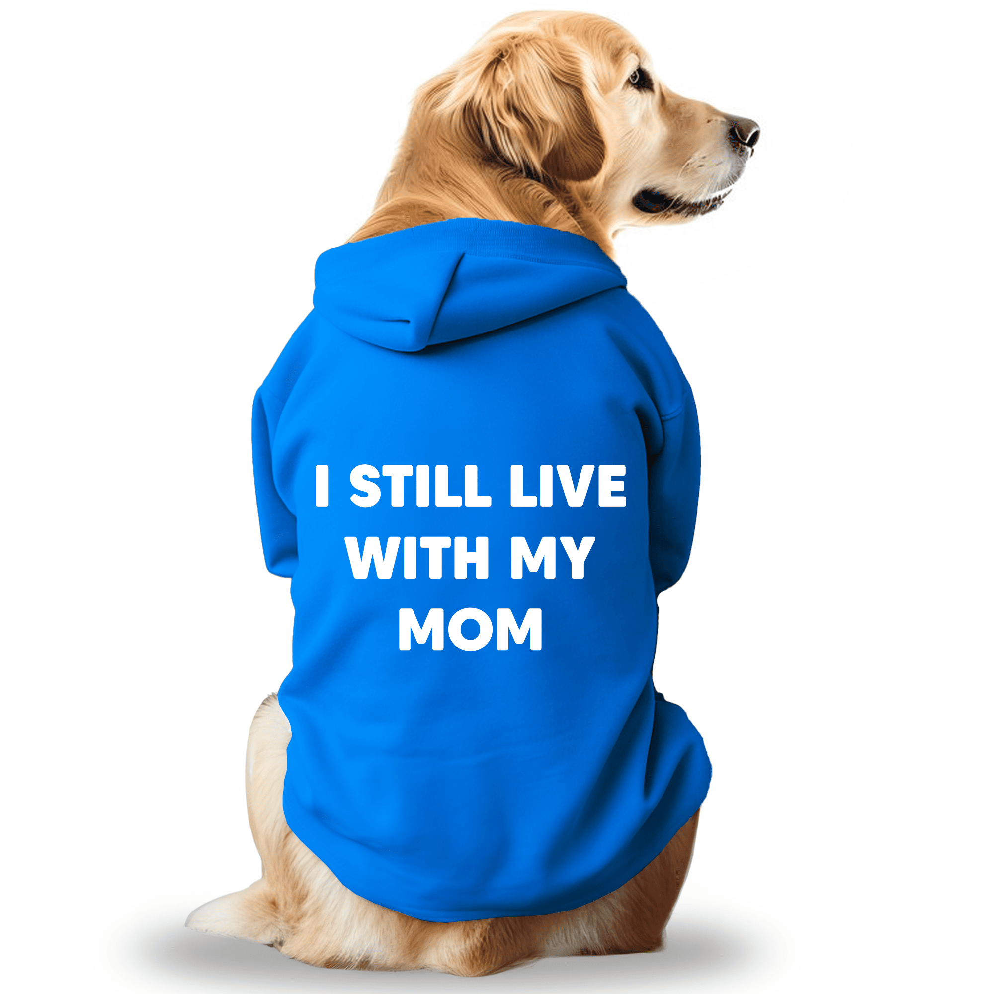 Pawsindia Dog & Cat Hoodie - I still Live With My Mom (Blue)