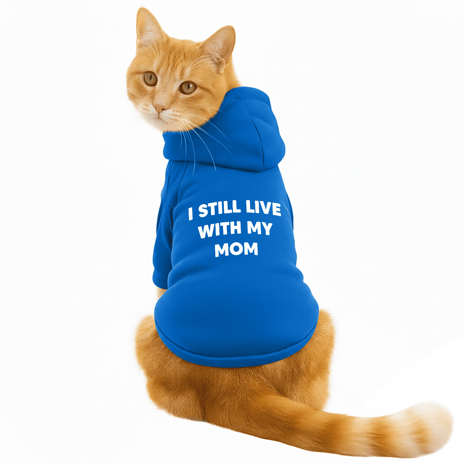 Pawsindia Dog & Cat Hoodie - I still Live With My Mom (Blue)
