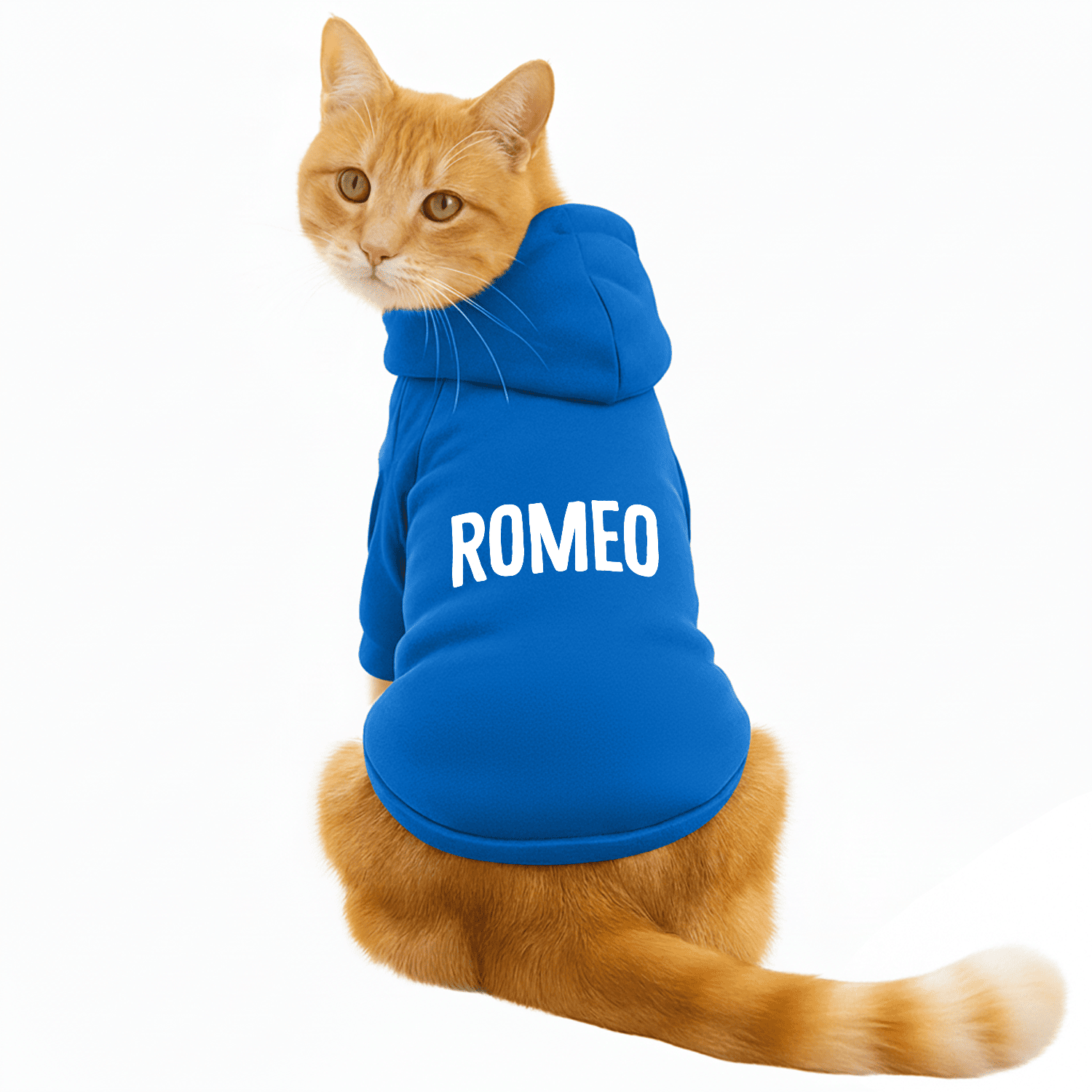 Pawsindia Dog & Cat Hoodie - Romeo (Blue)